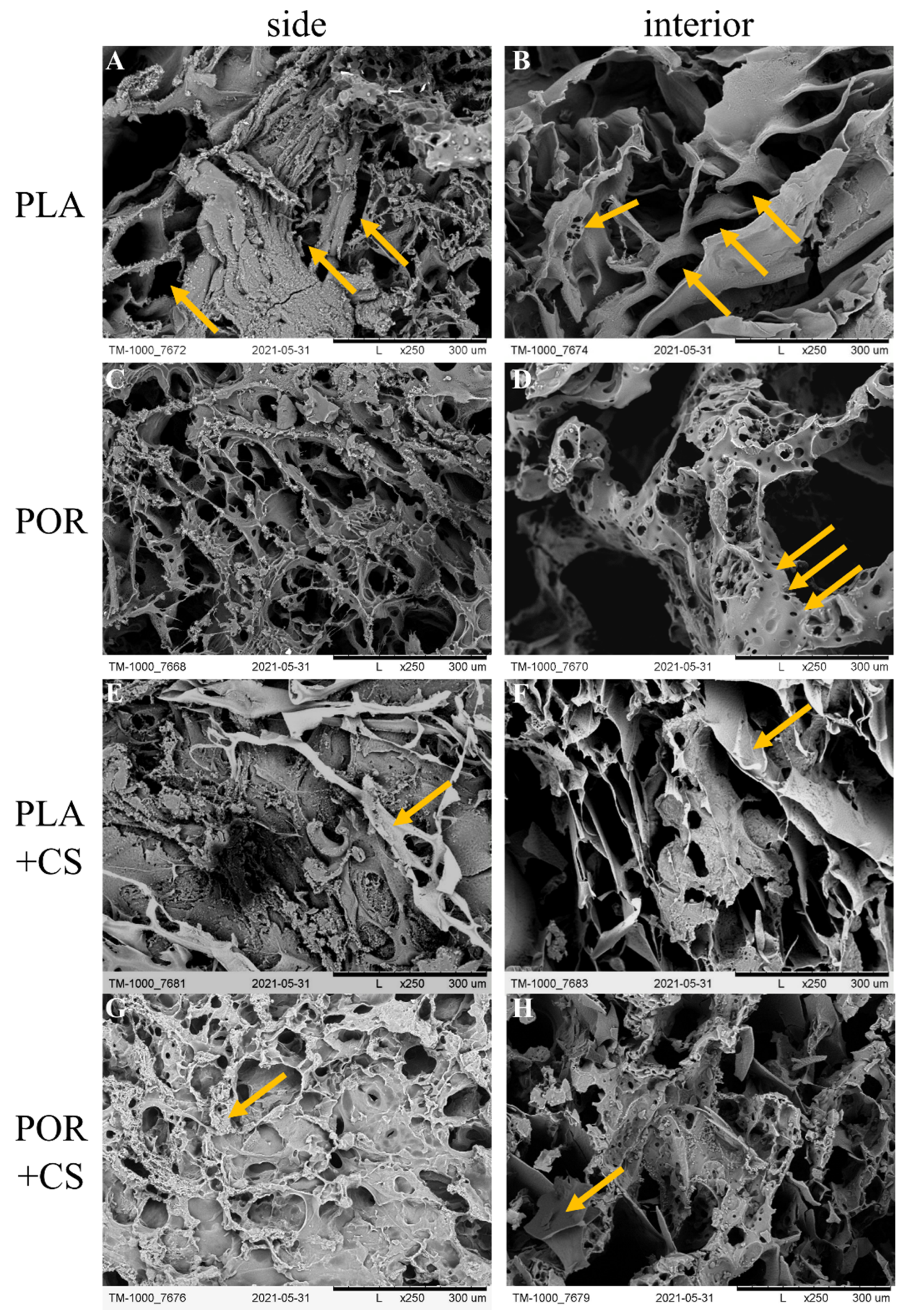 Jfb 14 00410 g001 Jfb 14 00410 g001