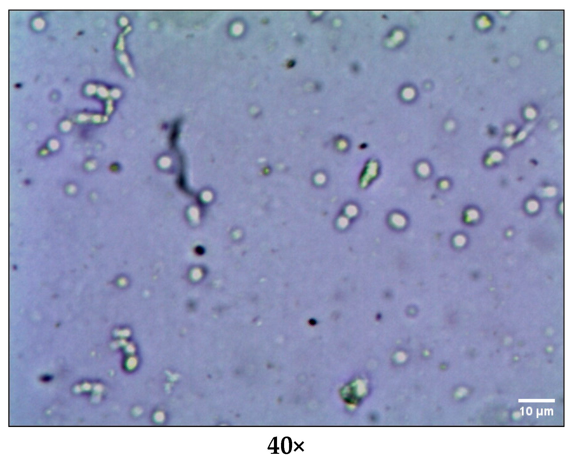 Jfb 14 00418 g001 Jfb 14 00418 g001