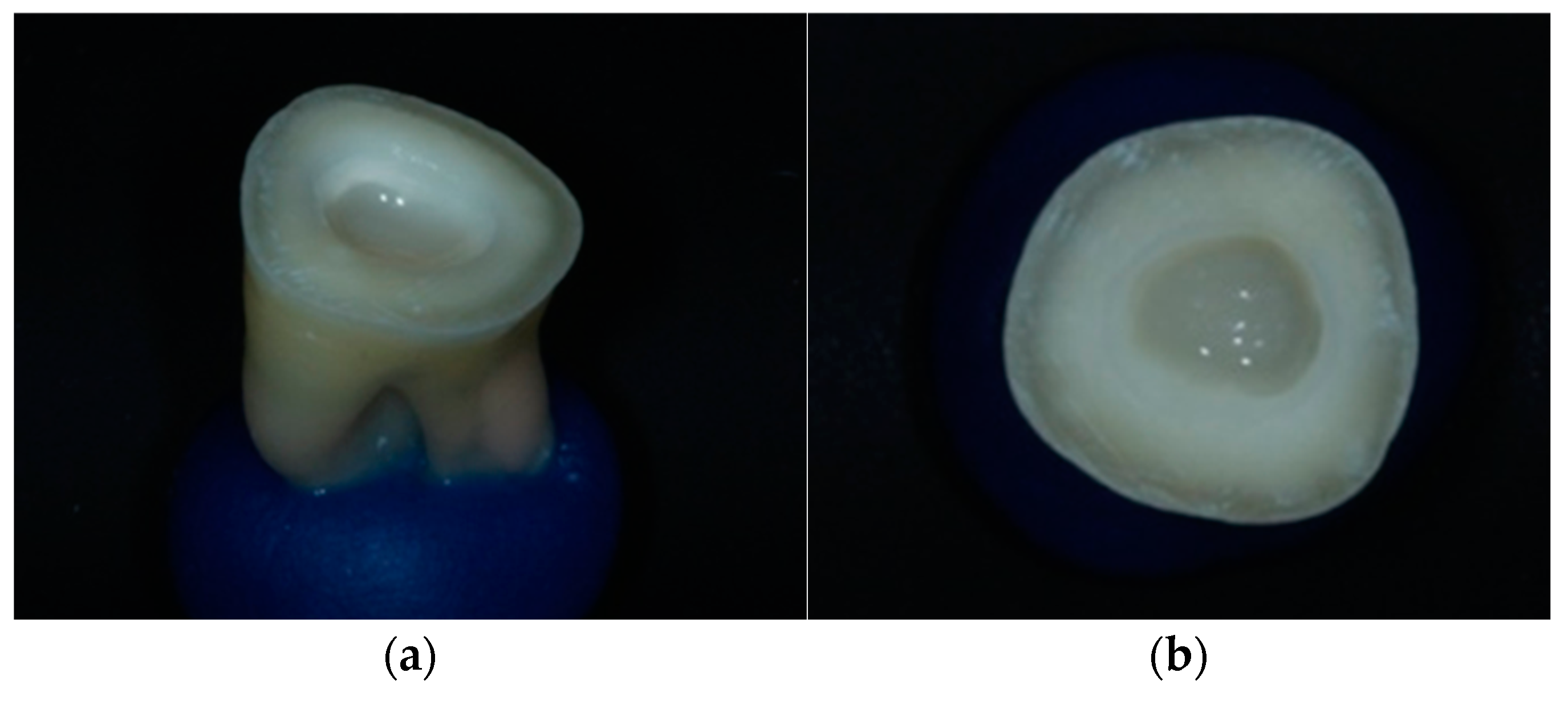 Jfb 14 00422 g002 Jfb 14 00422 g002