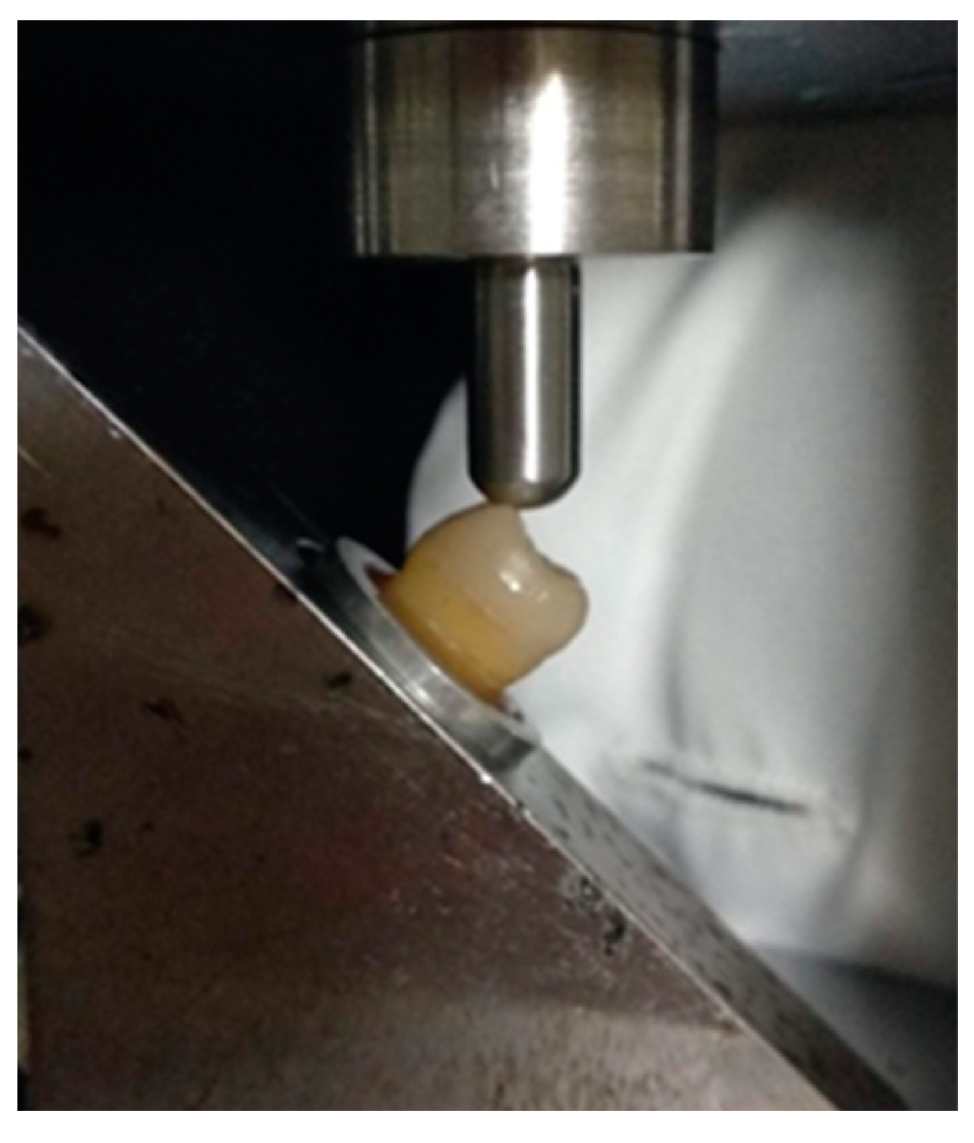 Jfb 14 00422 g005 Jfb 14 00422 g005