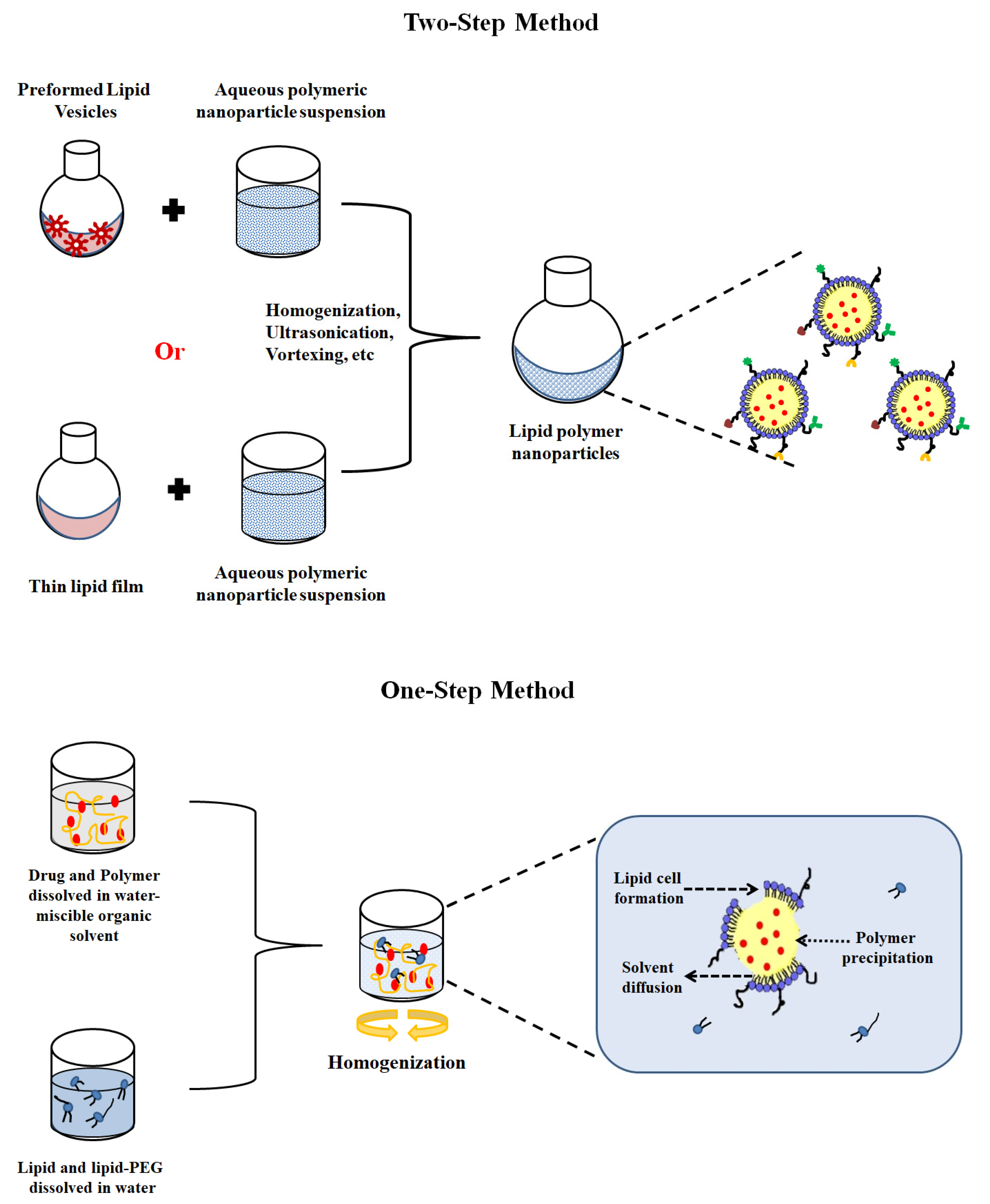 Jfb 14 00437 g002 Jfb 14 00437 g002
