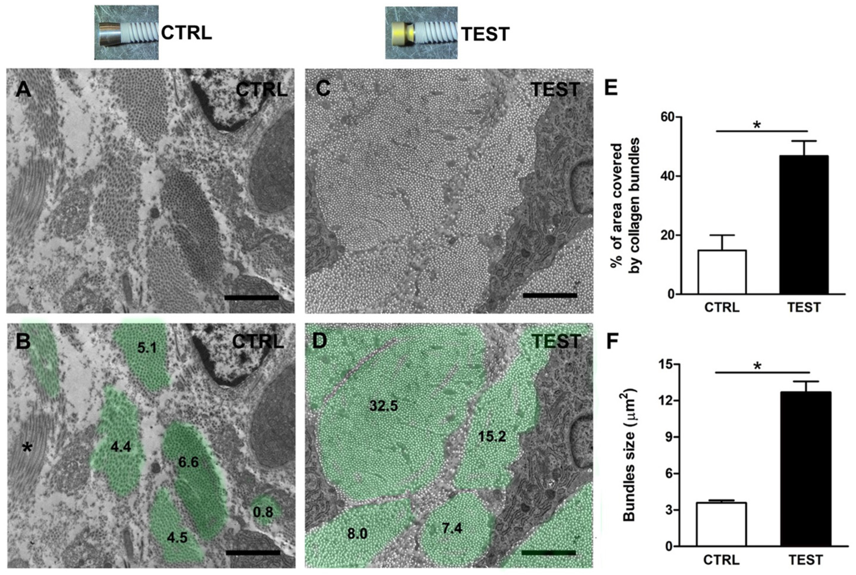 Jfb 14 00445 g005 Jfb 14 00445 g005