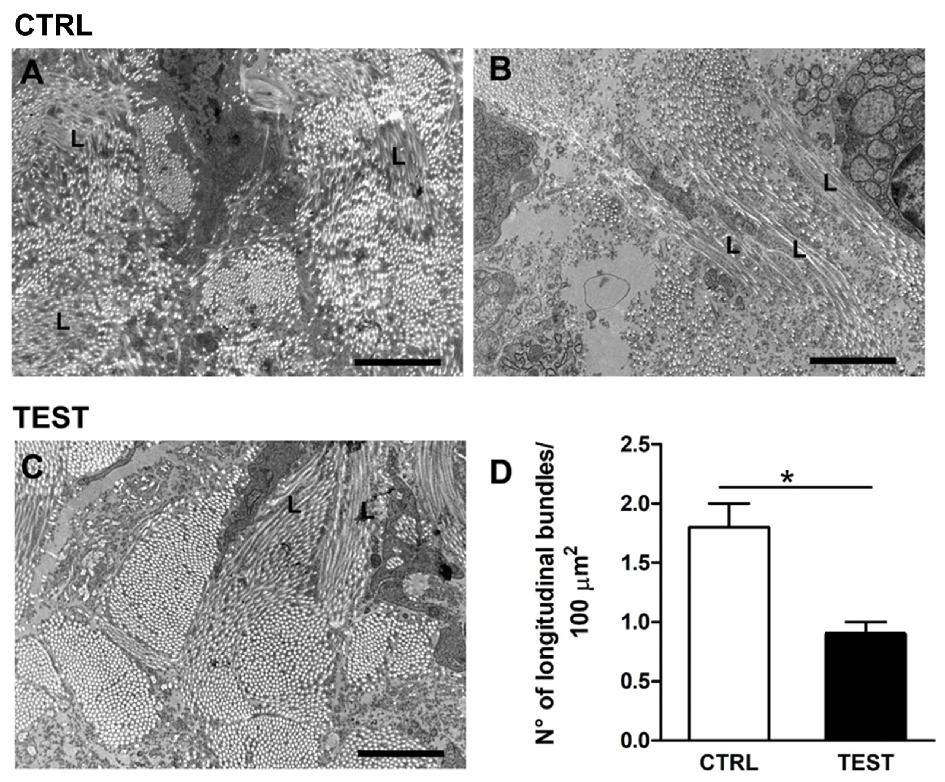Jfb 14 00445 g007 Jfb 14 00445 g007