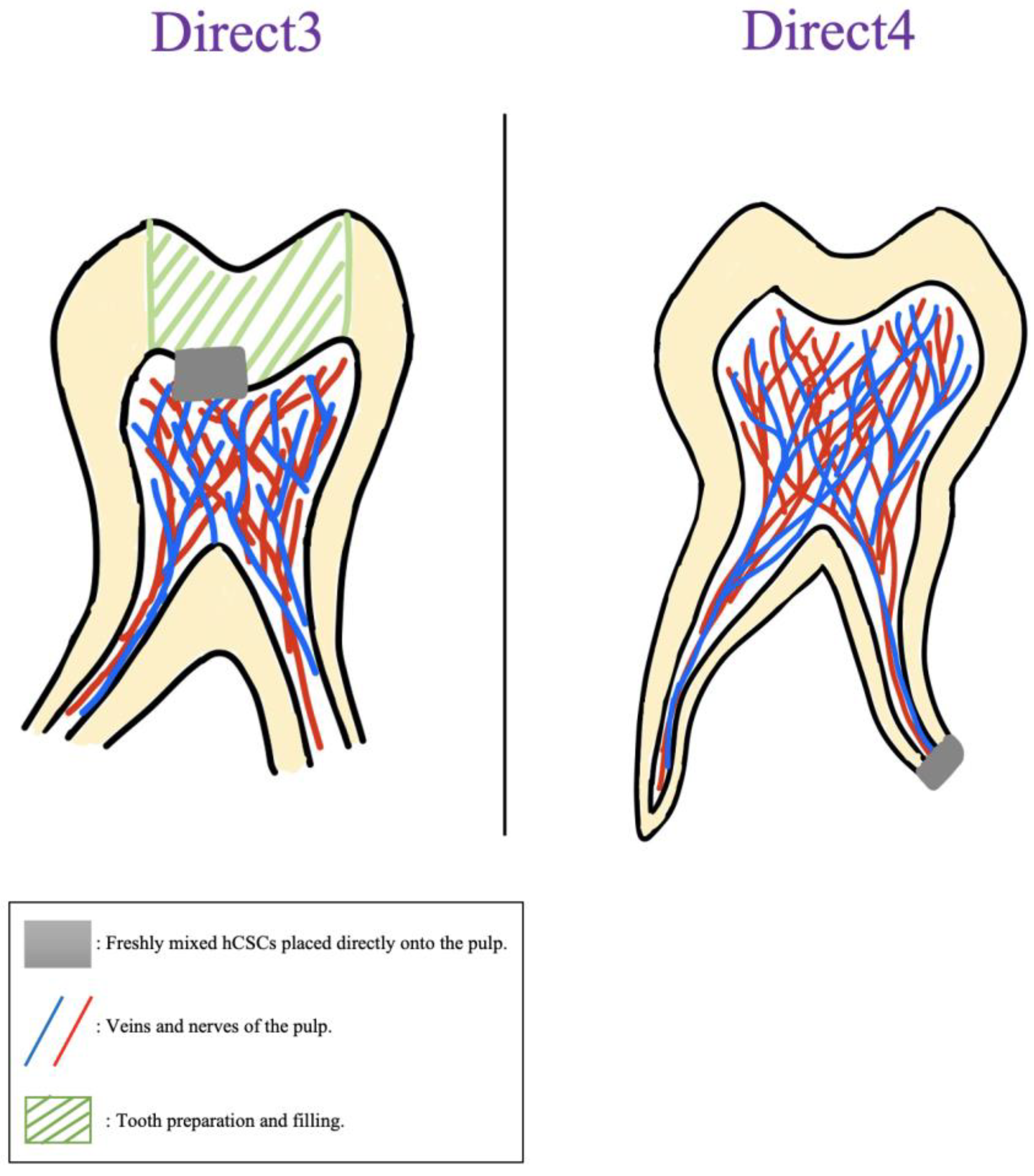 Jfb 14 00446 g005 Jfb 14 00446 g005