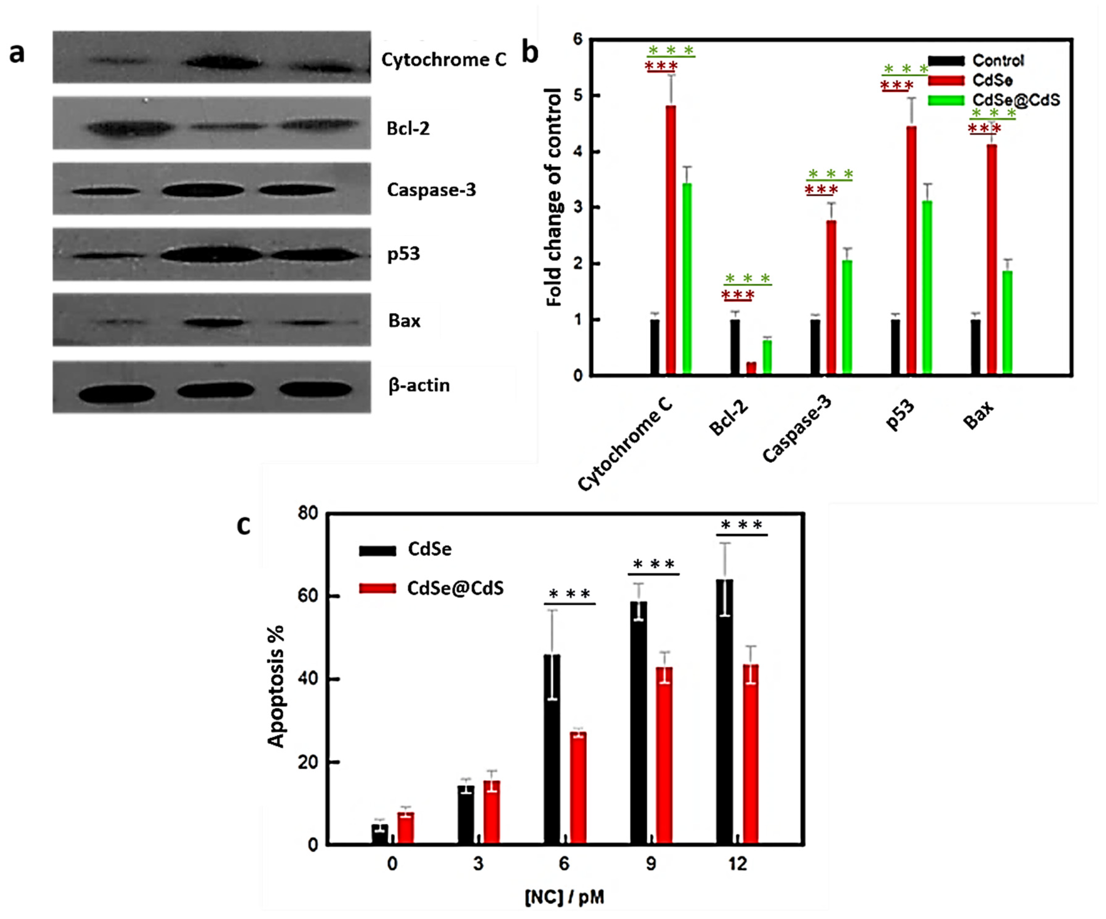 Jfb 14 00448 g005 Jfb 14 00448 g005