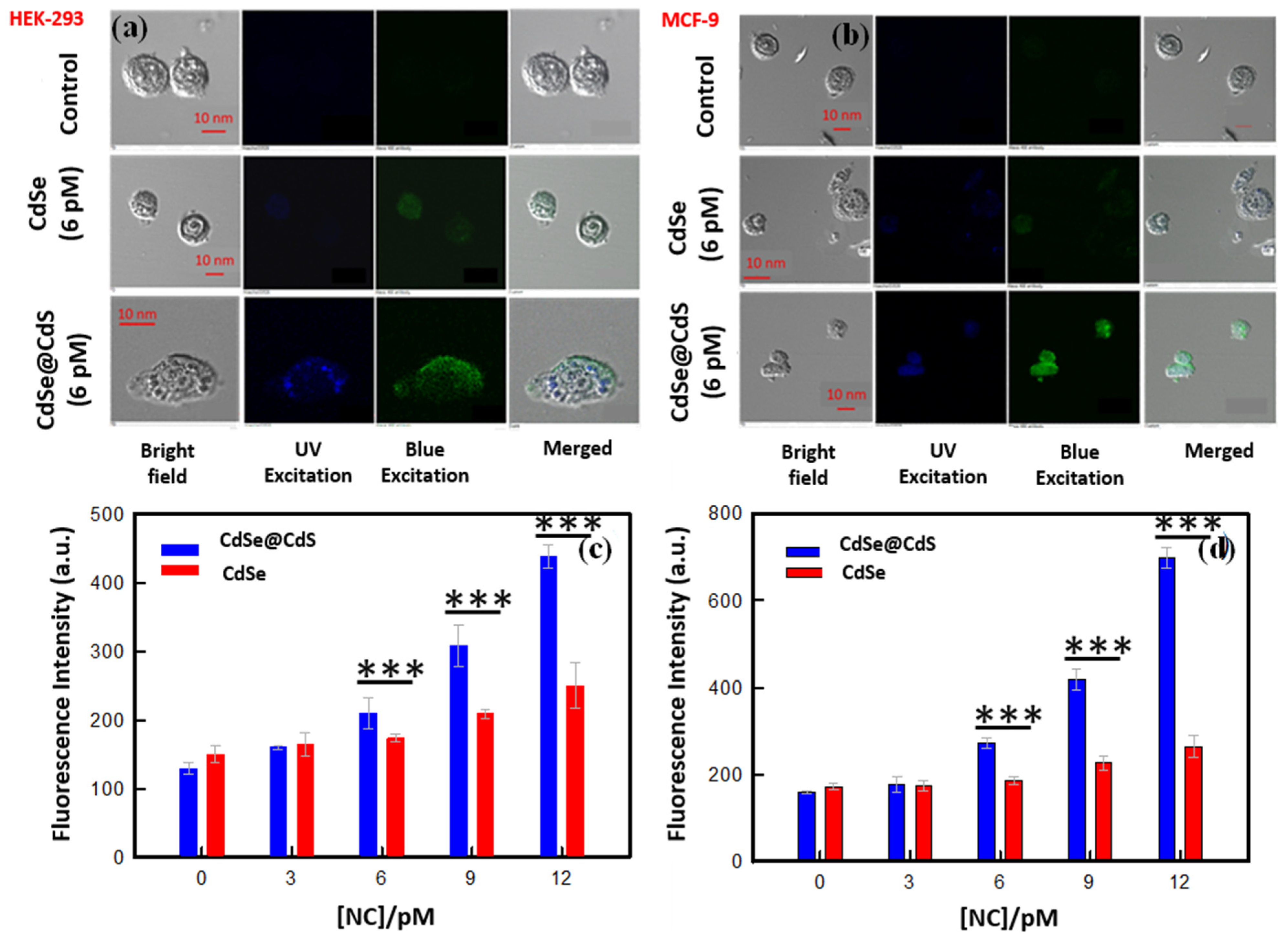 Jfb 14 00448 g007 Jfb 14 00448 g007