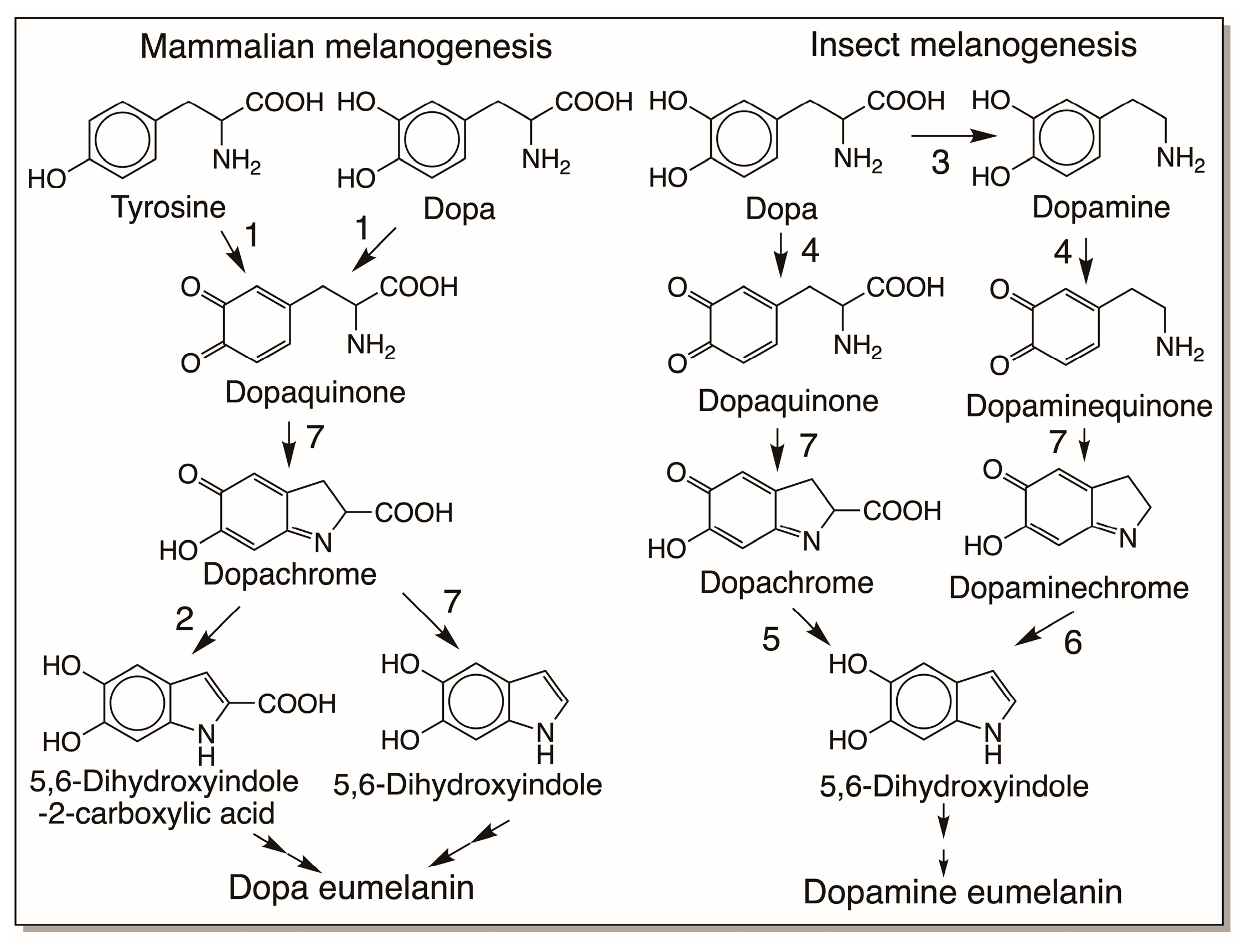 Jfb 14 00449 g003 Jfb 14 00449 g003