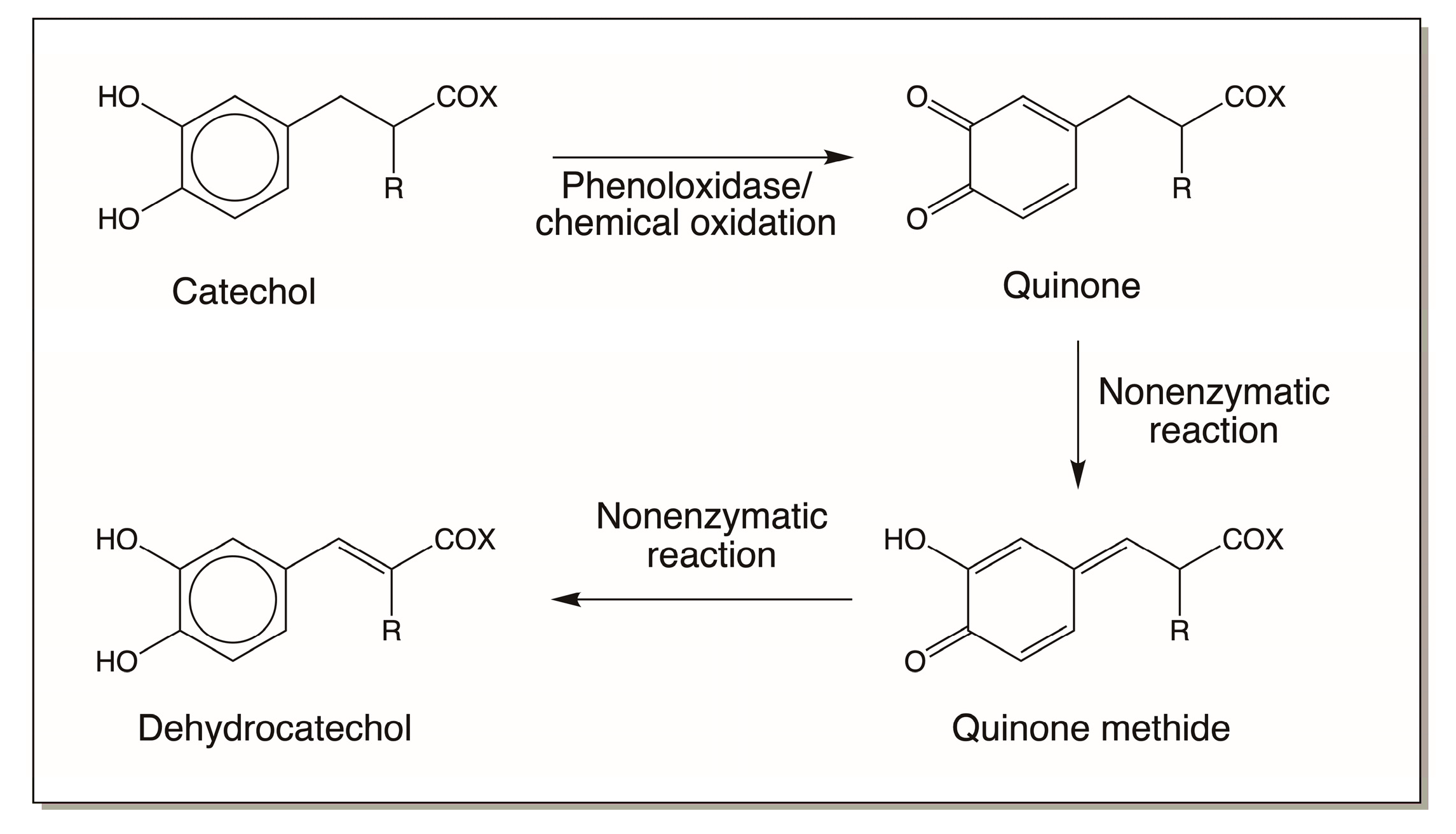 Jfb 14 00449 g004 Jfb 14 00449 g004