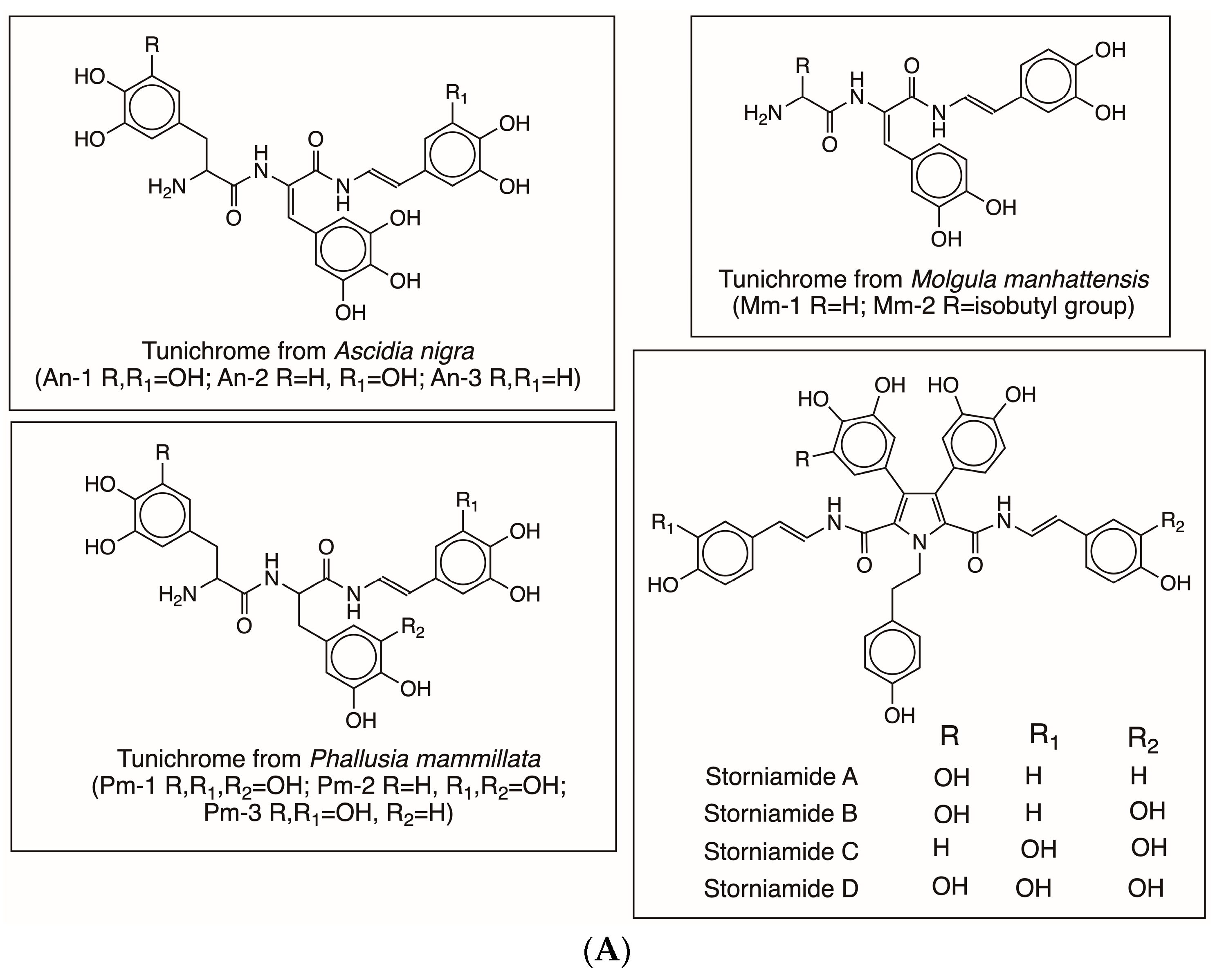 Jfb 14 00449 g006a Jfb 14 00449 g006a