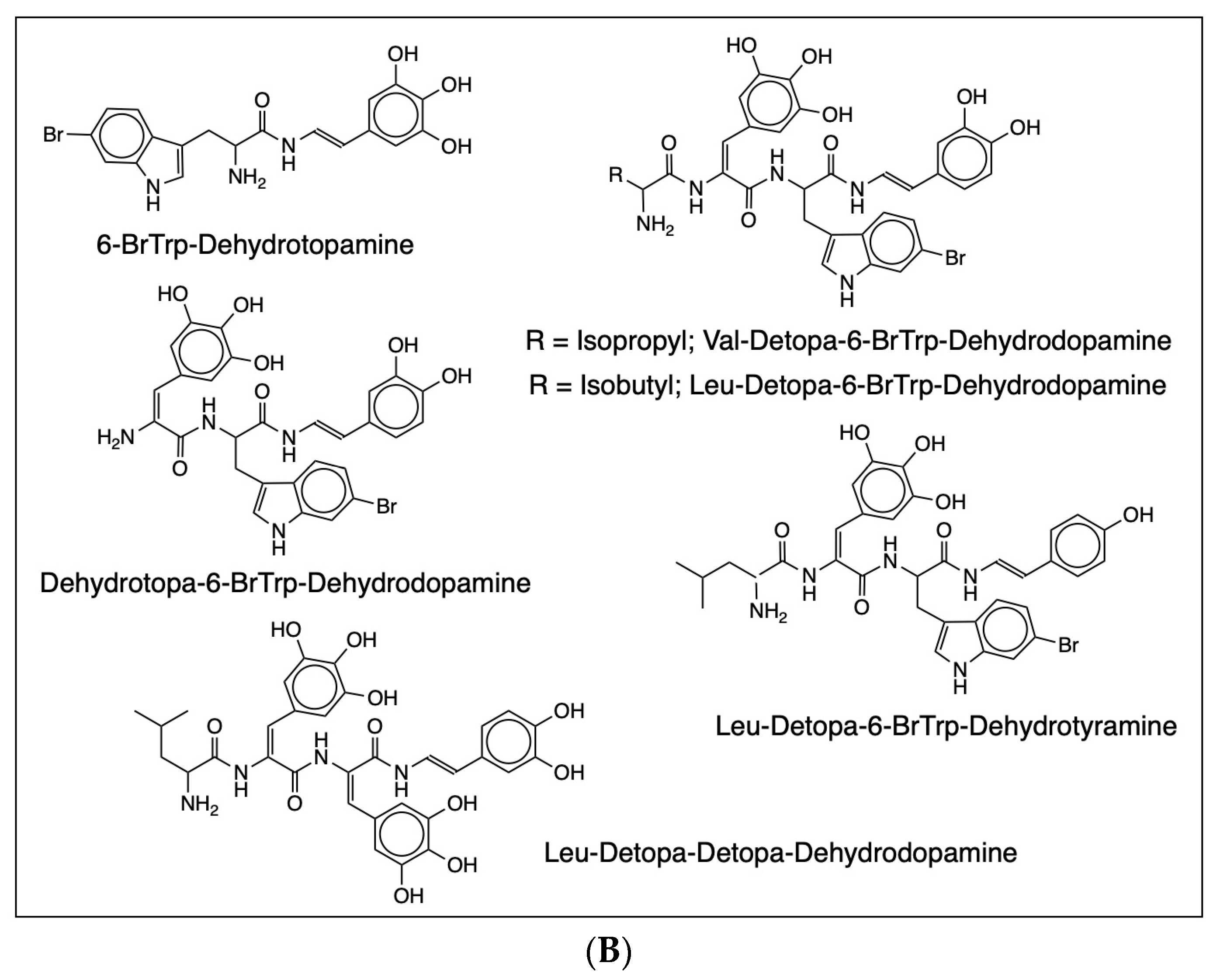 Jfb 14 00449 g006b Jfb 14 00449 g006b