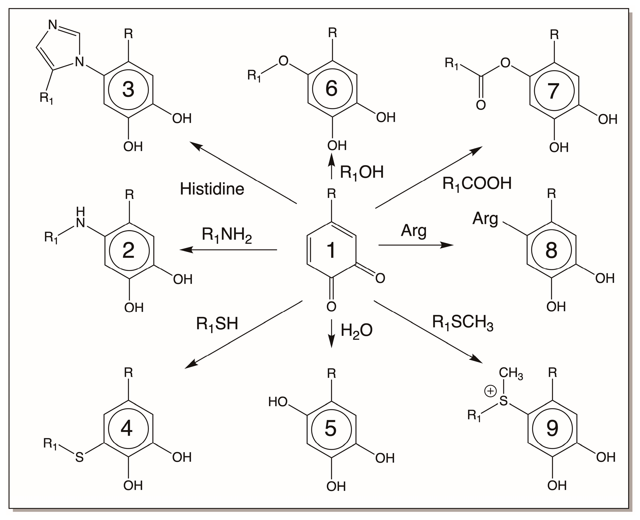 Jfb 14 00449 g008 Jfb 14 00449 g008