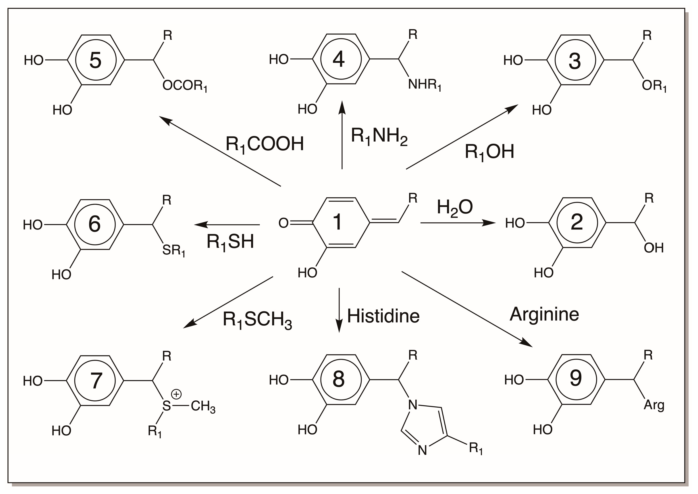 Jfb 14 00449 g010 Jfb 14 00449 g010