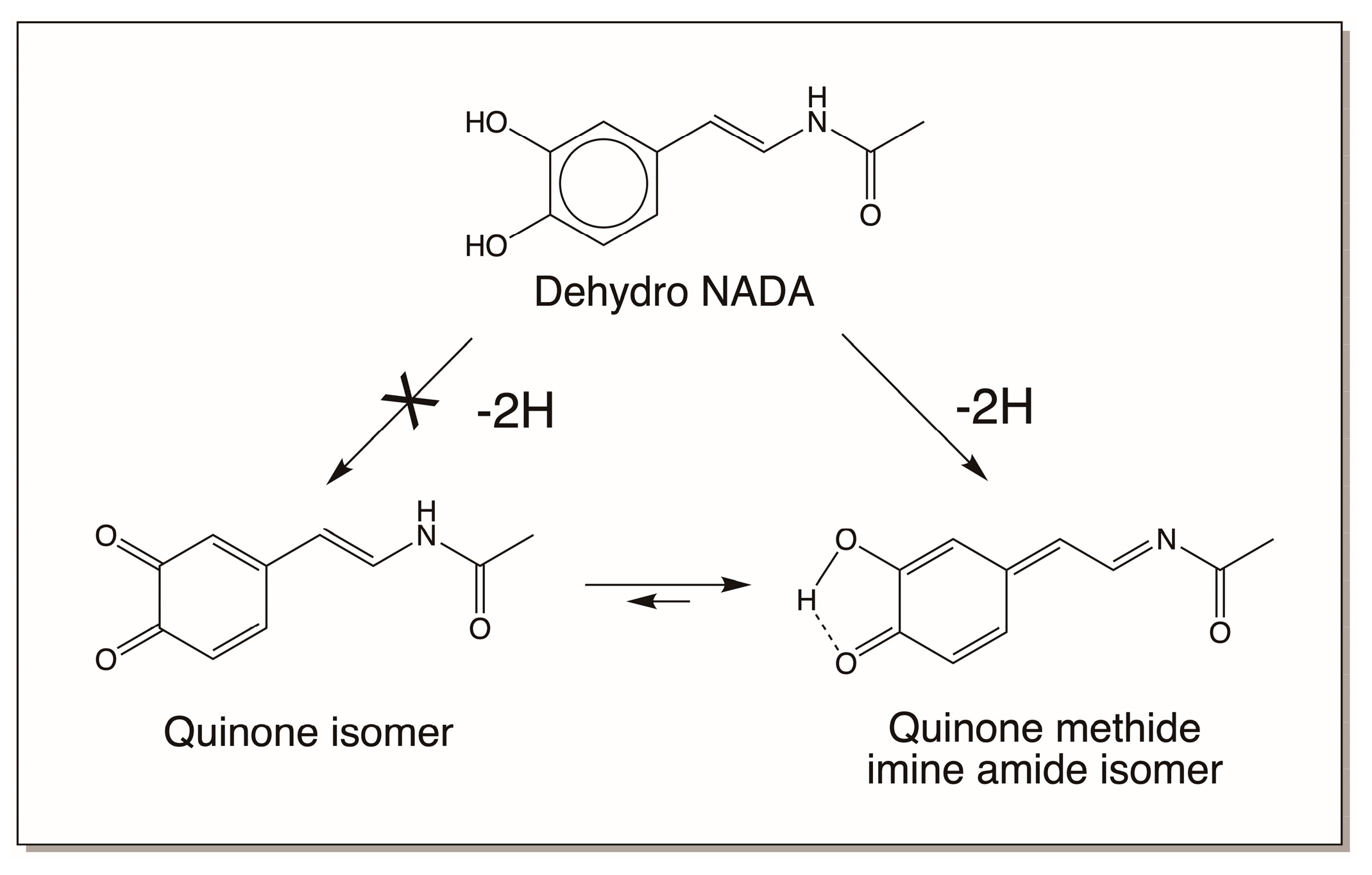 Jfb 14 00449 g011 Jfb 14 00449 g011