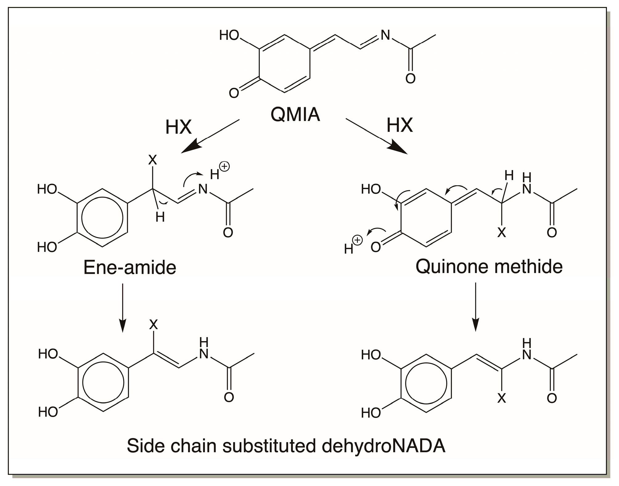 Jfb 14 00449 g013 Jfb 14 00449 g013
