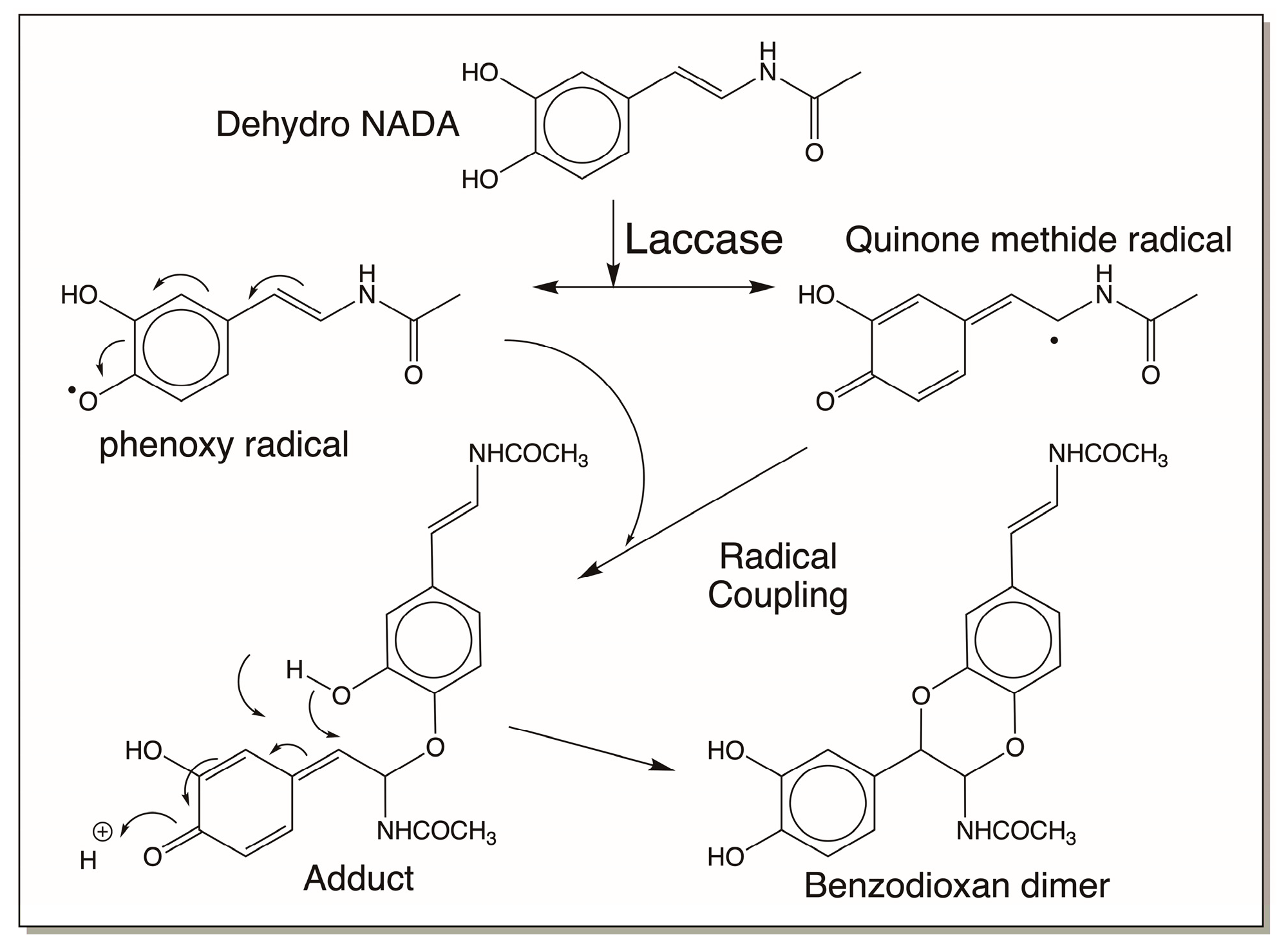 Jfb 14 00449 g014 Jfb 14 00449 g014