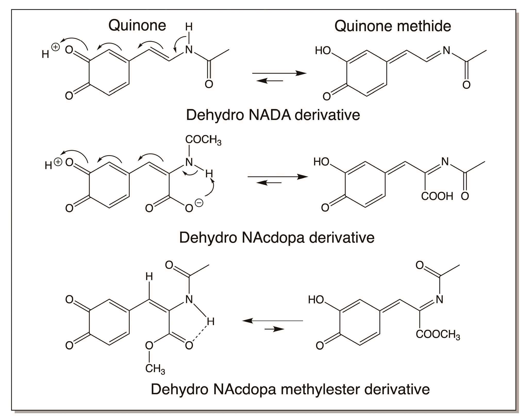 Jfb 14 00449 g016 Jfb 14 00449 g016