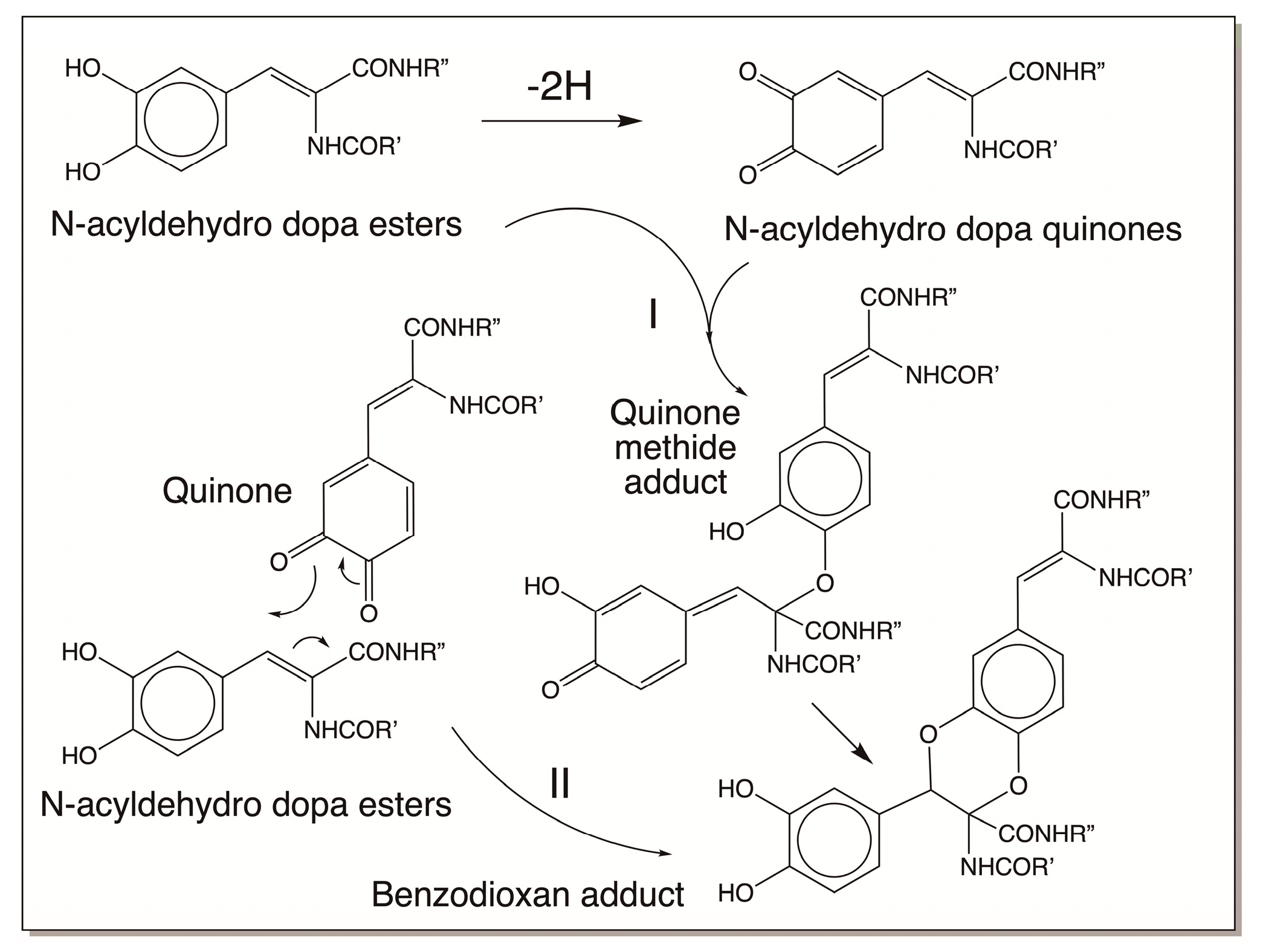 Jfb 14 00449 g017 Jfb 14 00449 g017