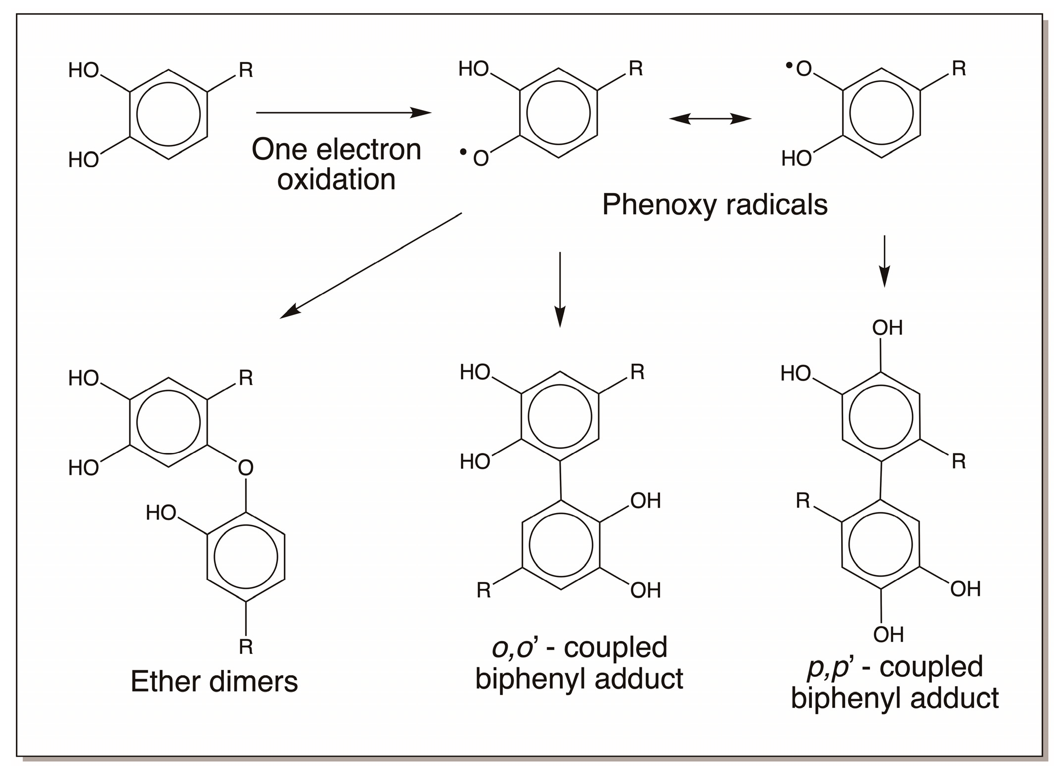 Jfb 14 00449 g019 Jfb 14 00449 g019