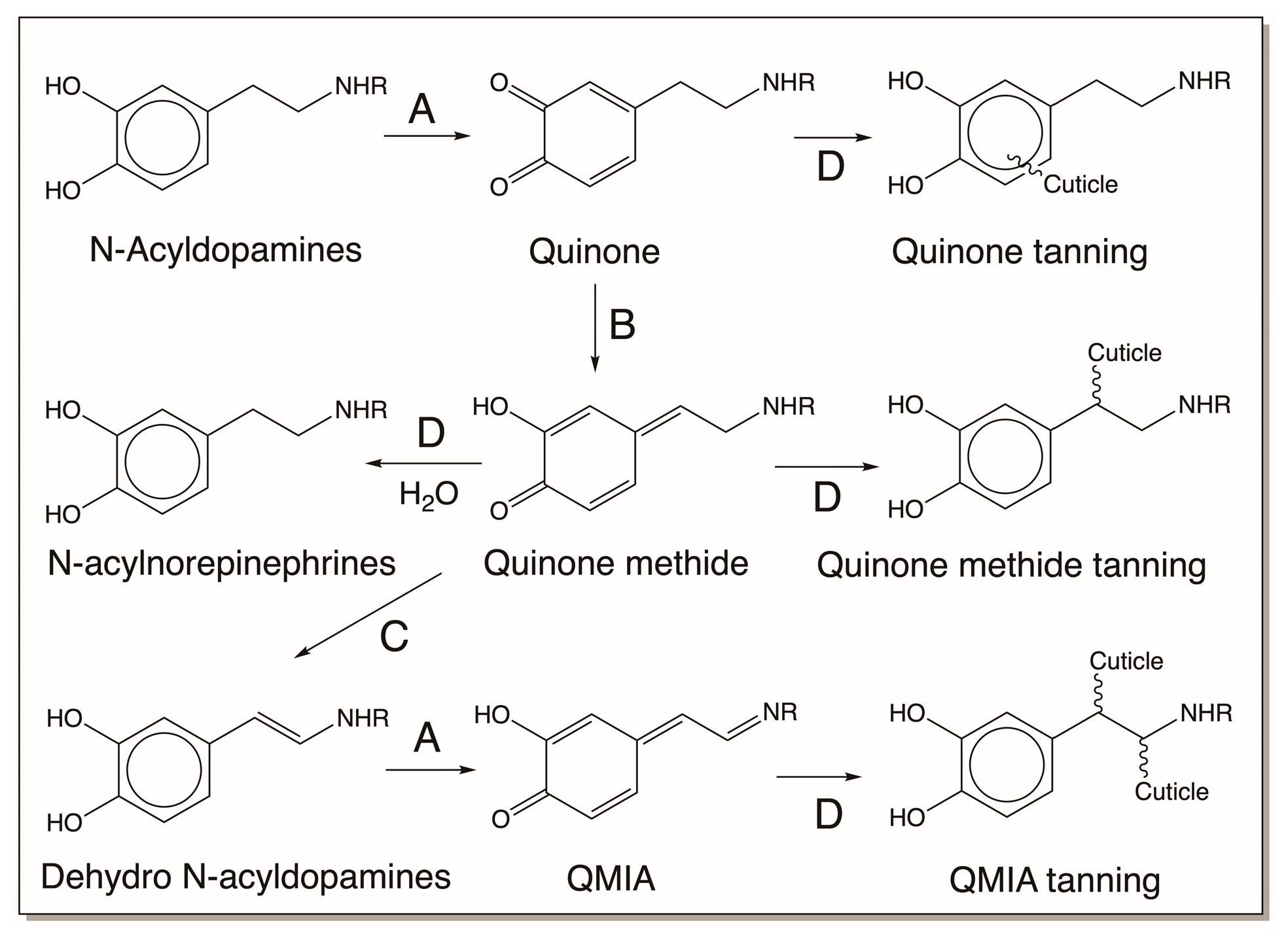 Jfb 14 00449 g023 Jfb 14 00449 g023