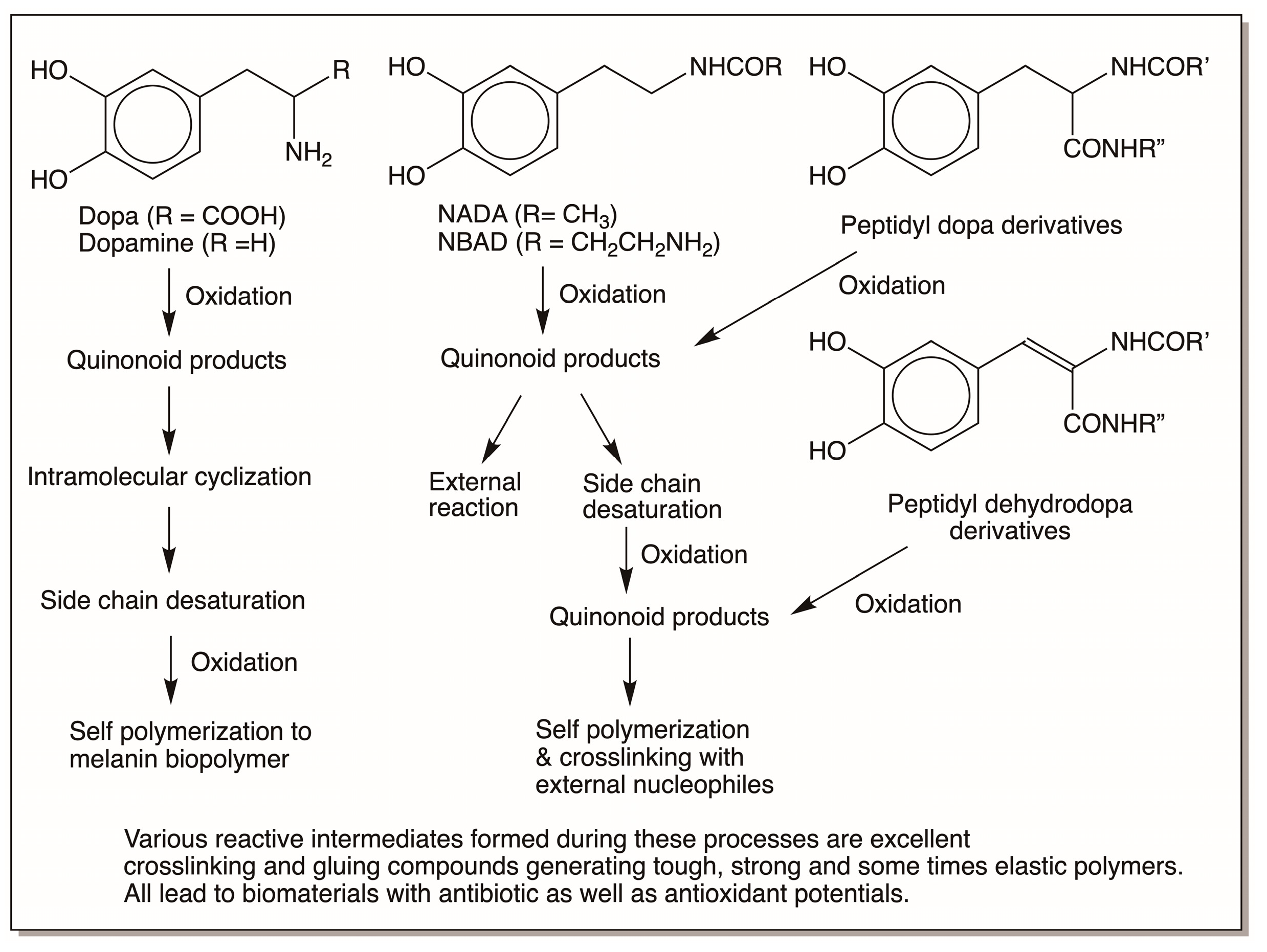 Jfb 14 00449 g024 Jfb 14 00449 g024