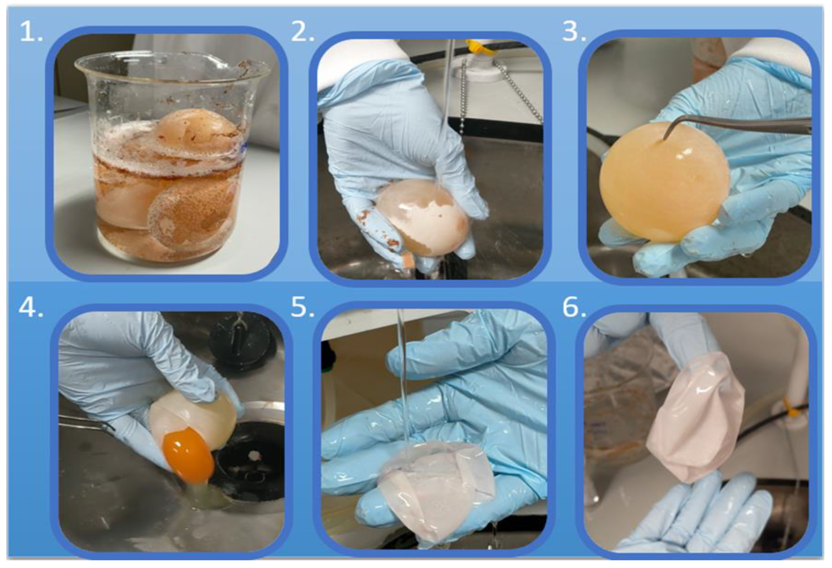 A Sustainable, Green-Processed, Ag-Nanoparticle-Incorporated