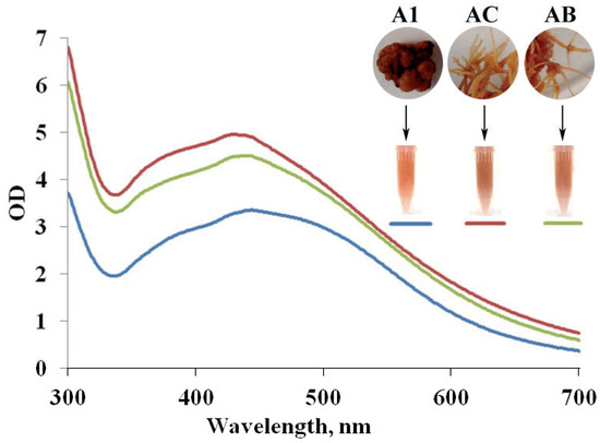ai　オーダー Synthesis, Properties and Bioimaging Applications of Silver