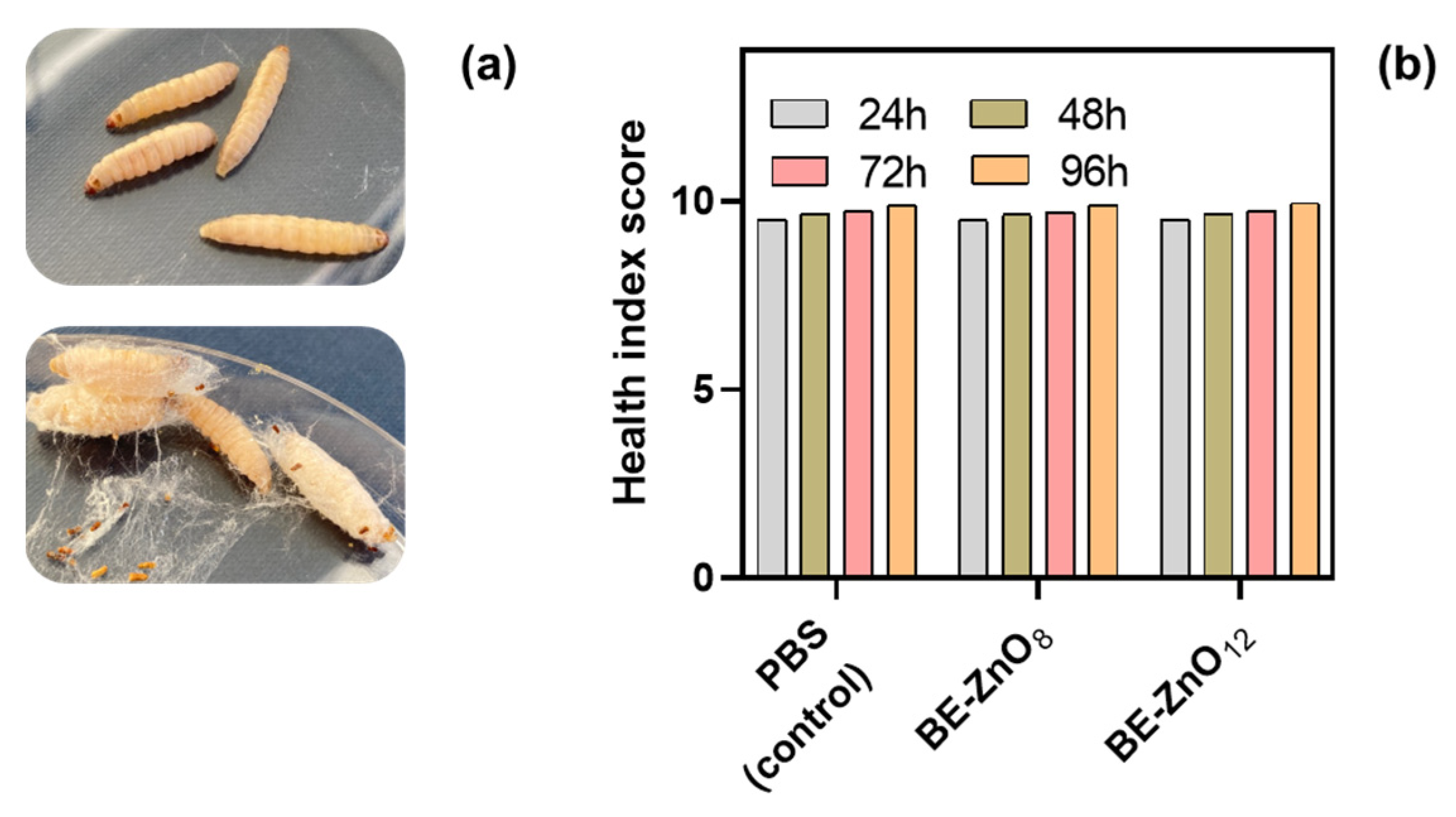 Jfb 14 00463 g002 Jfb 14 00463 g002