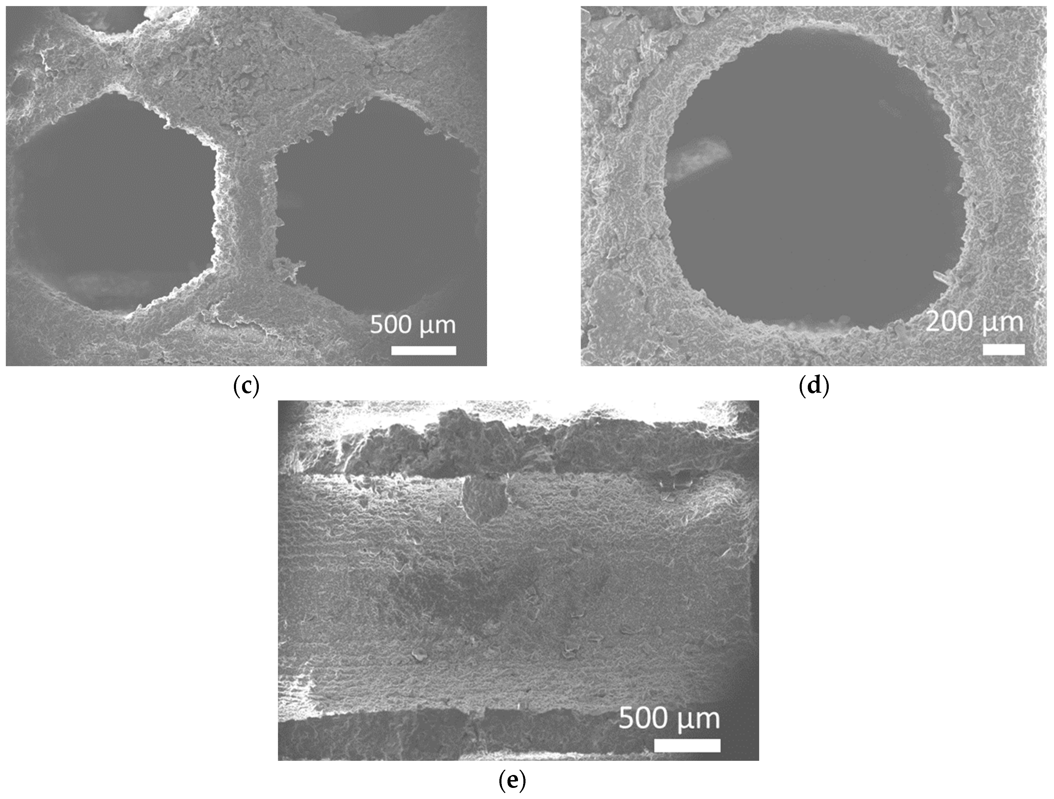 Jfb 14 00465 g009b Jfb 14 00465 g009b