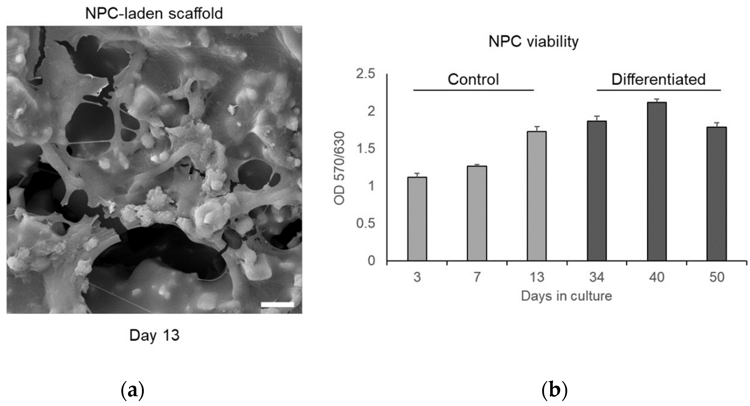 Jfb 14 00465 g010 Jfb 14 00465 g010
