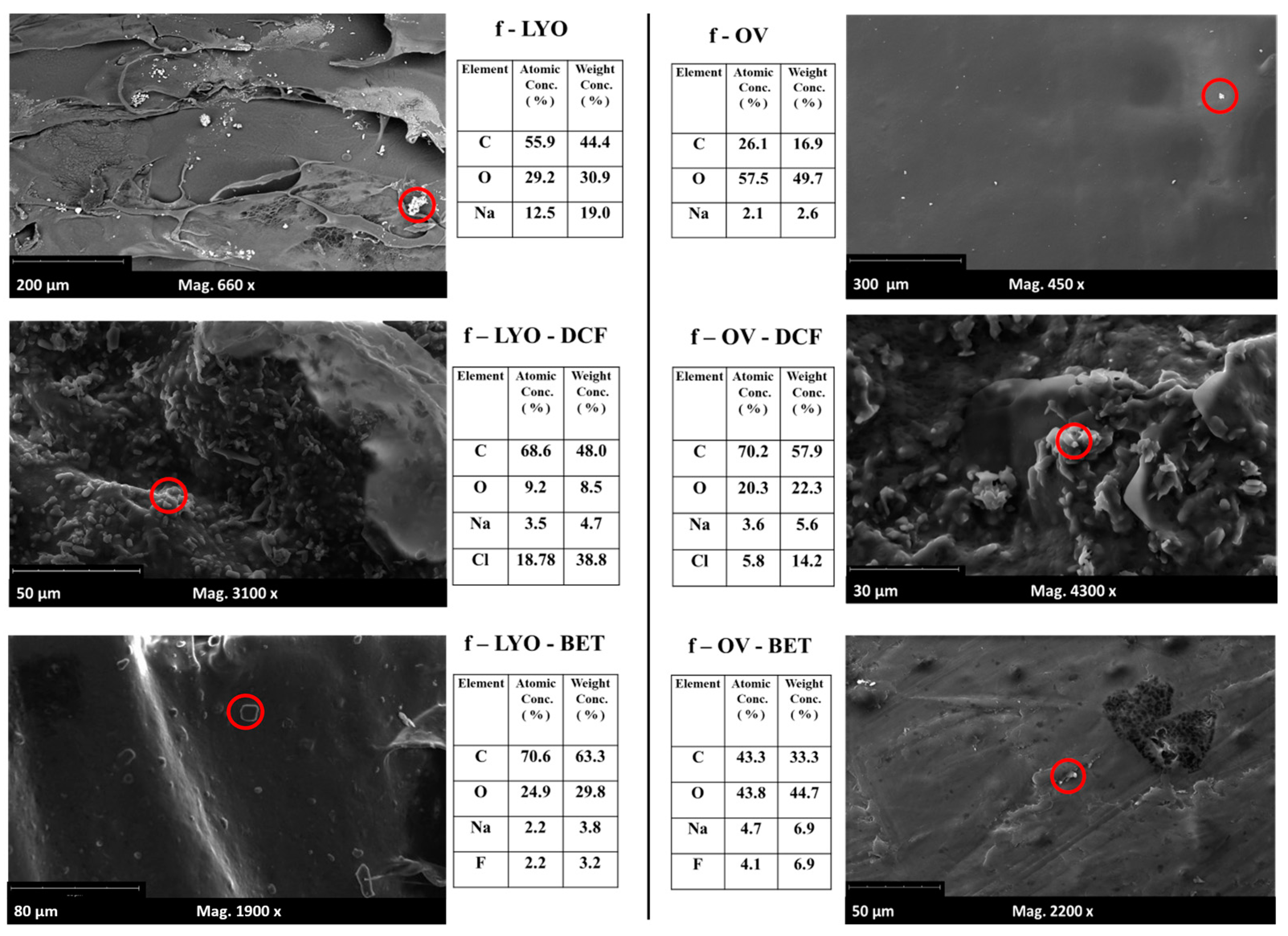 Jfb 14 00482 g009 Jfb 14 00482 g009