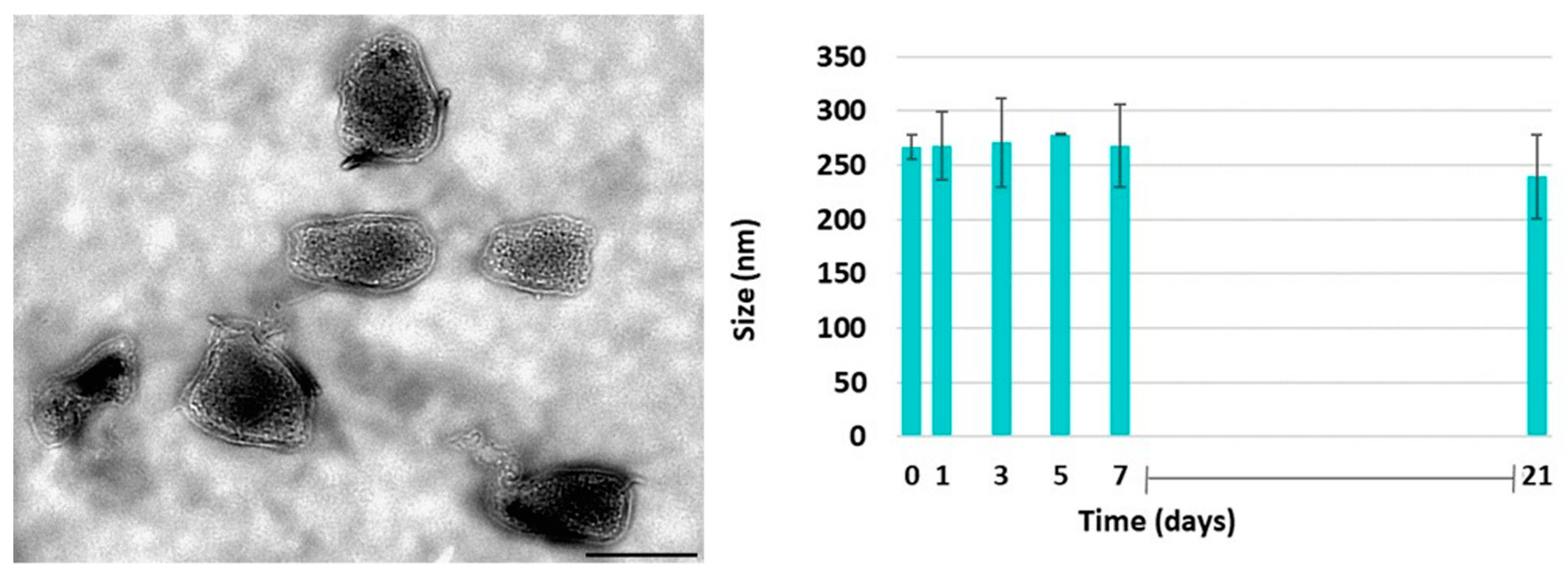 Jfb 14 00482 g012 Jfb 14 00482 g012