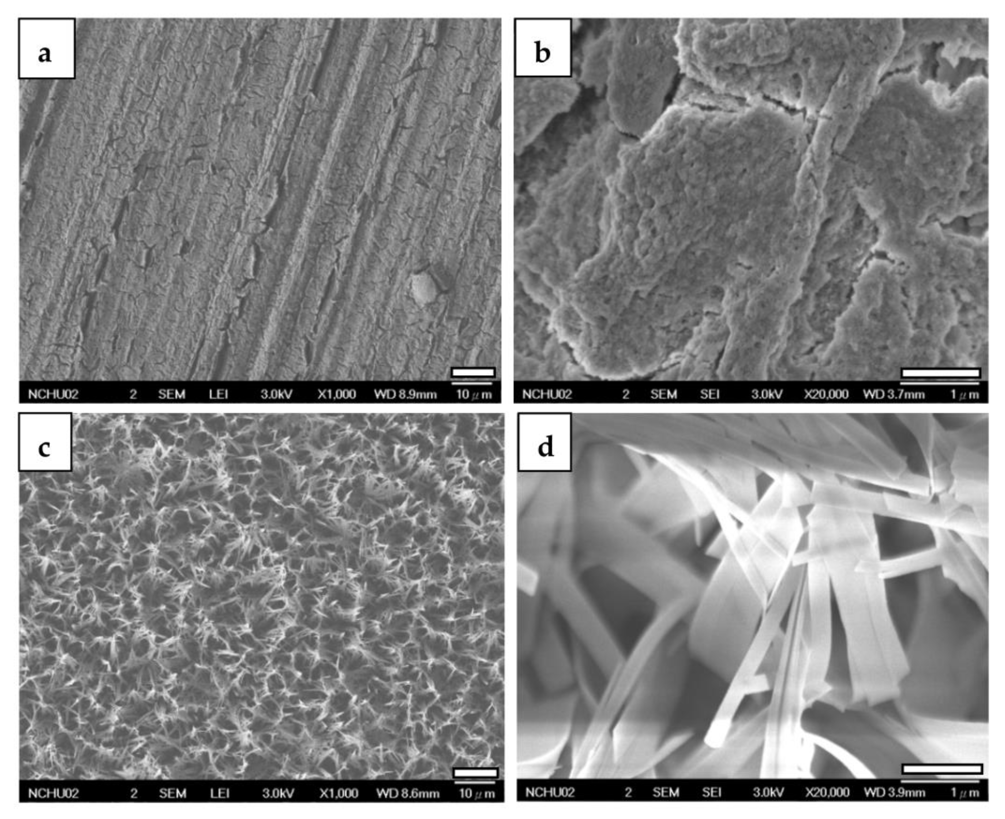 Jfb 14 00519 g009 Jfb 14 00519 g009