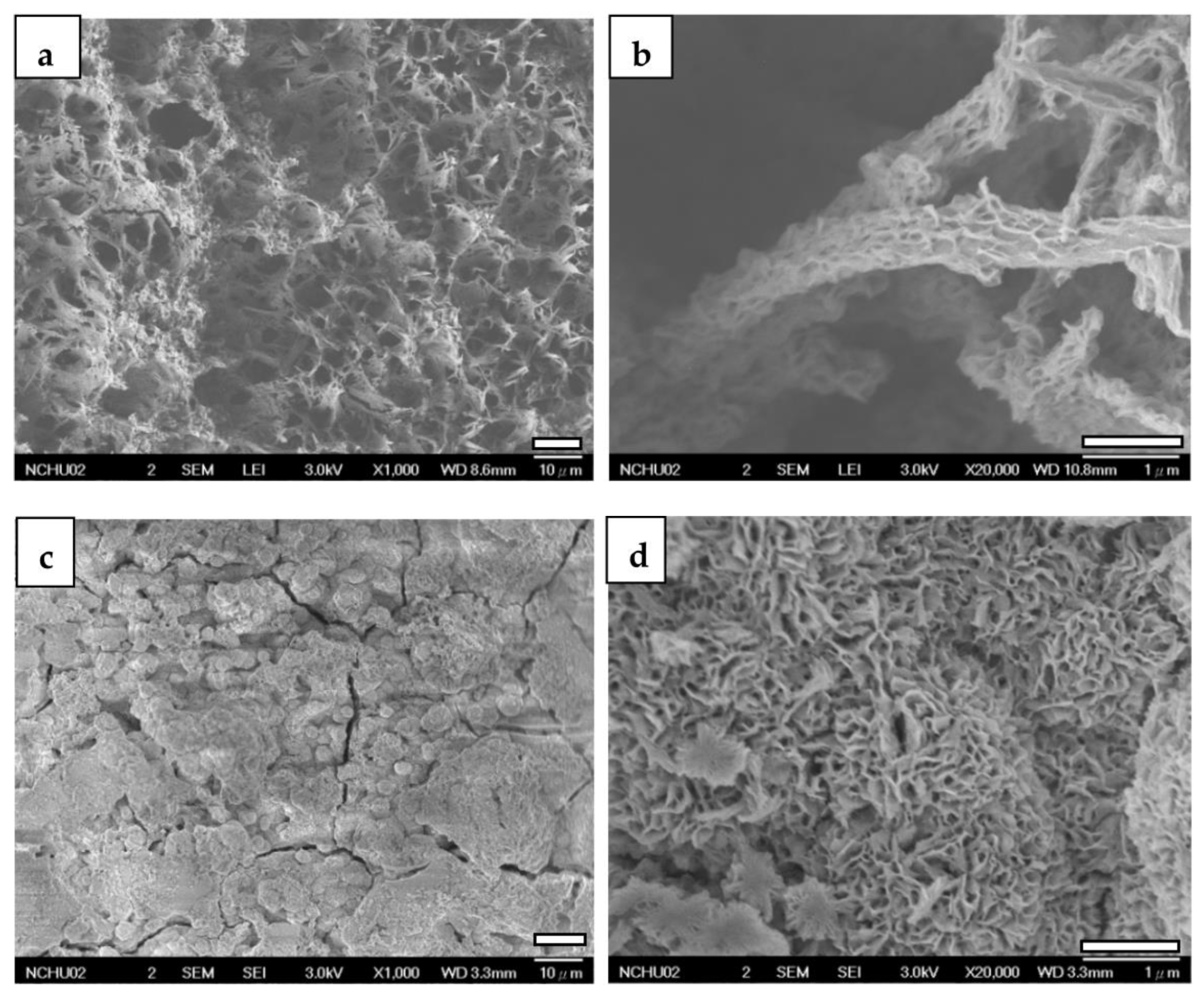 Jfb 14 00519 g011 Jfb 14 00519 g011