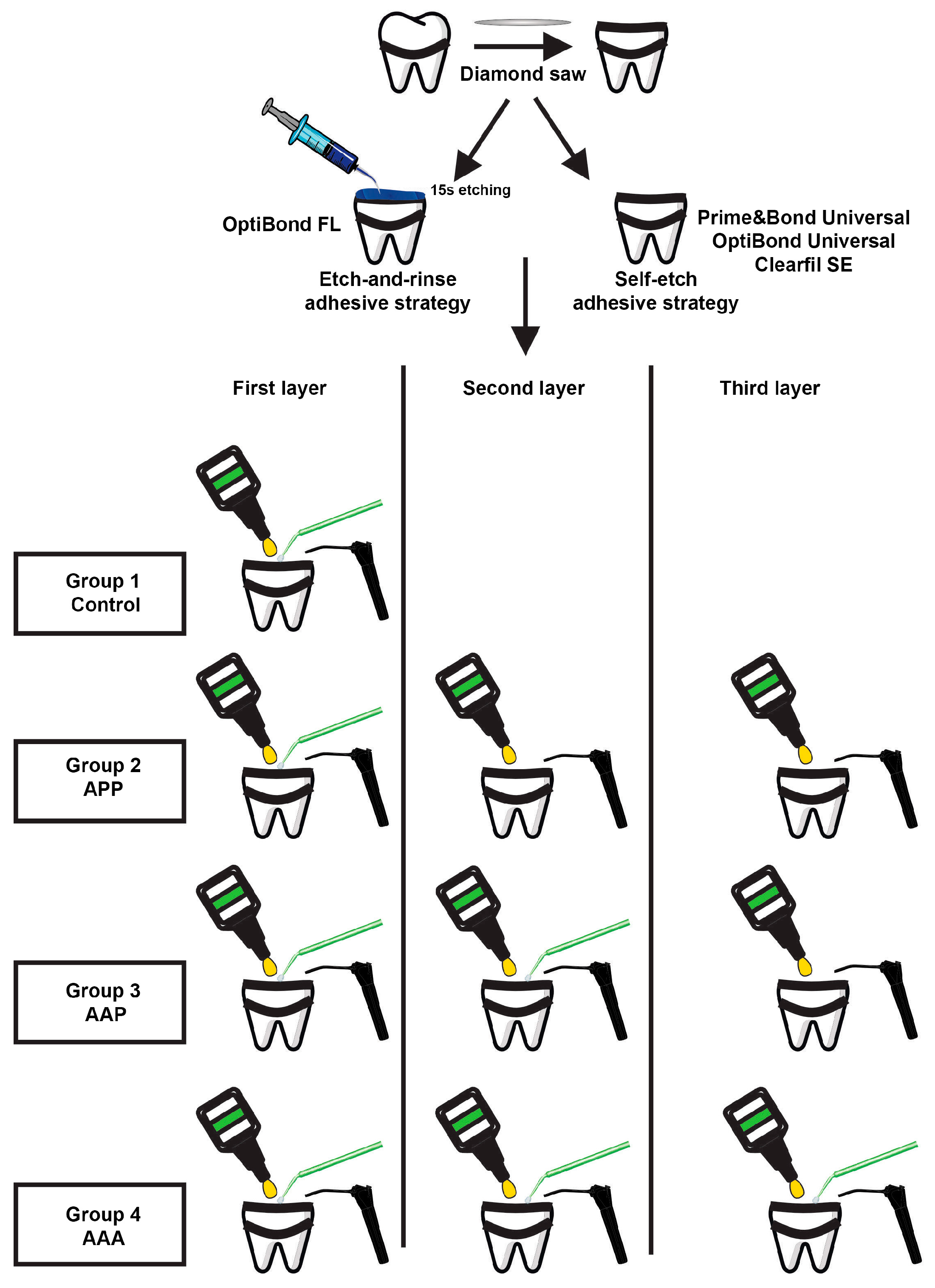 JFB Free FullText Effect of Modified TripleLayer Application on