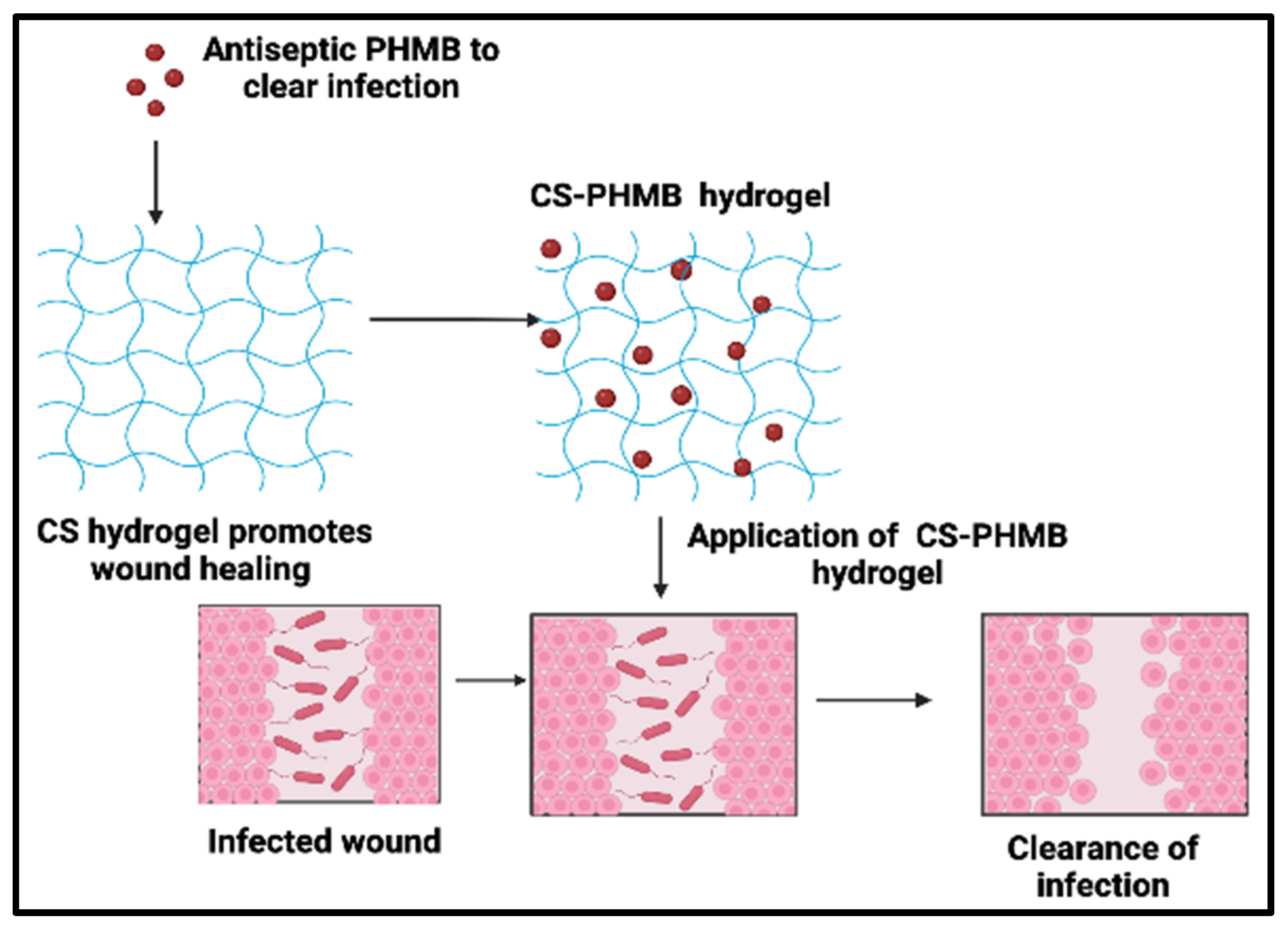 Jfb 14 00528 g001 Jfb 14 00528 g001