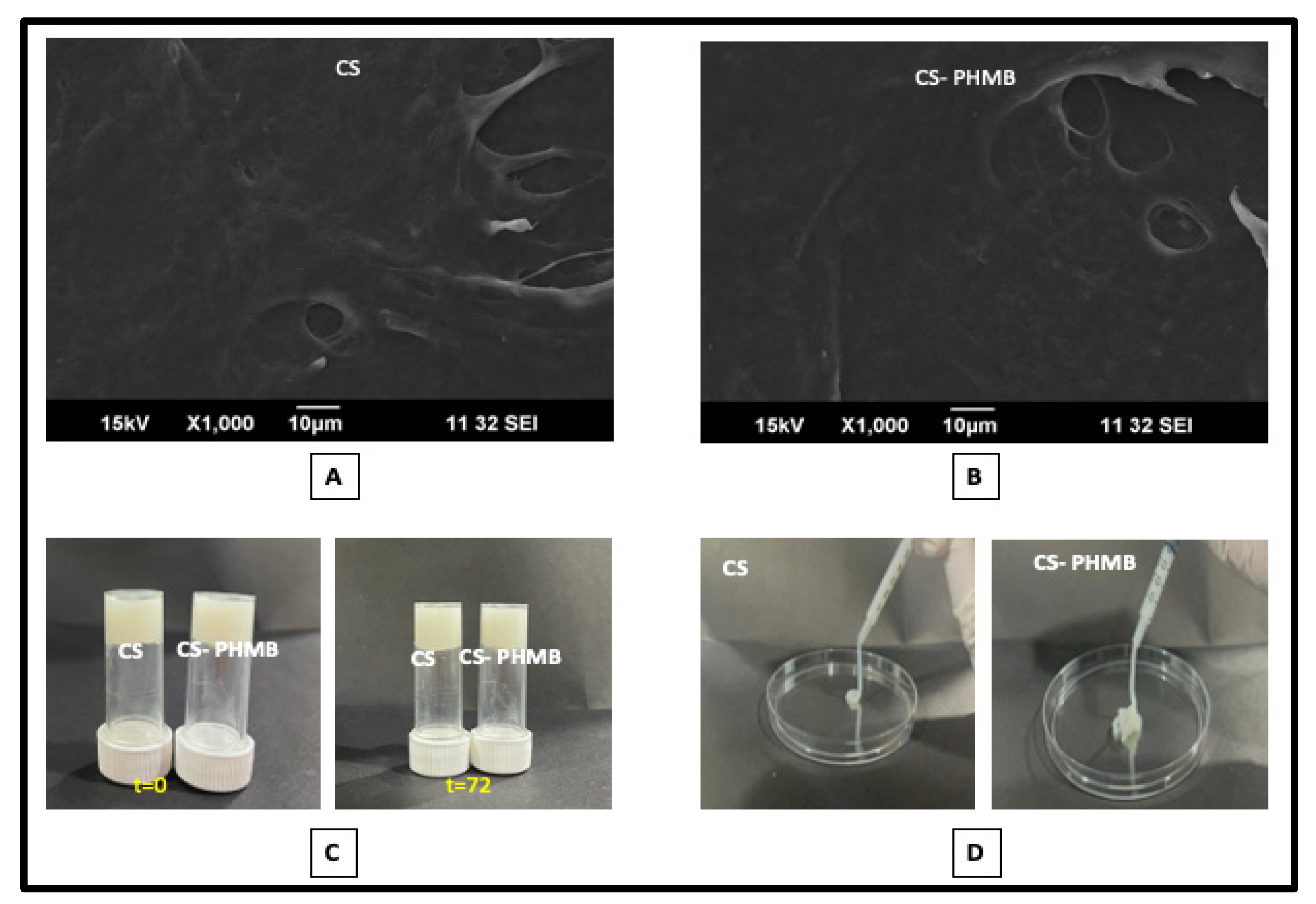 Jfb 14 00528 g004 Jfb 14 00528 g004