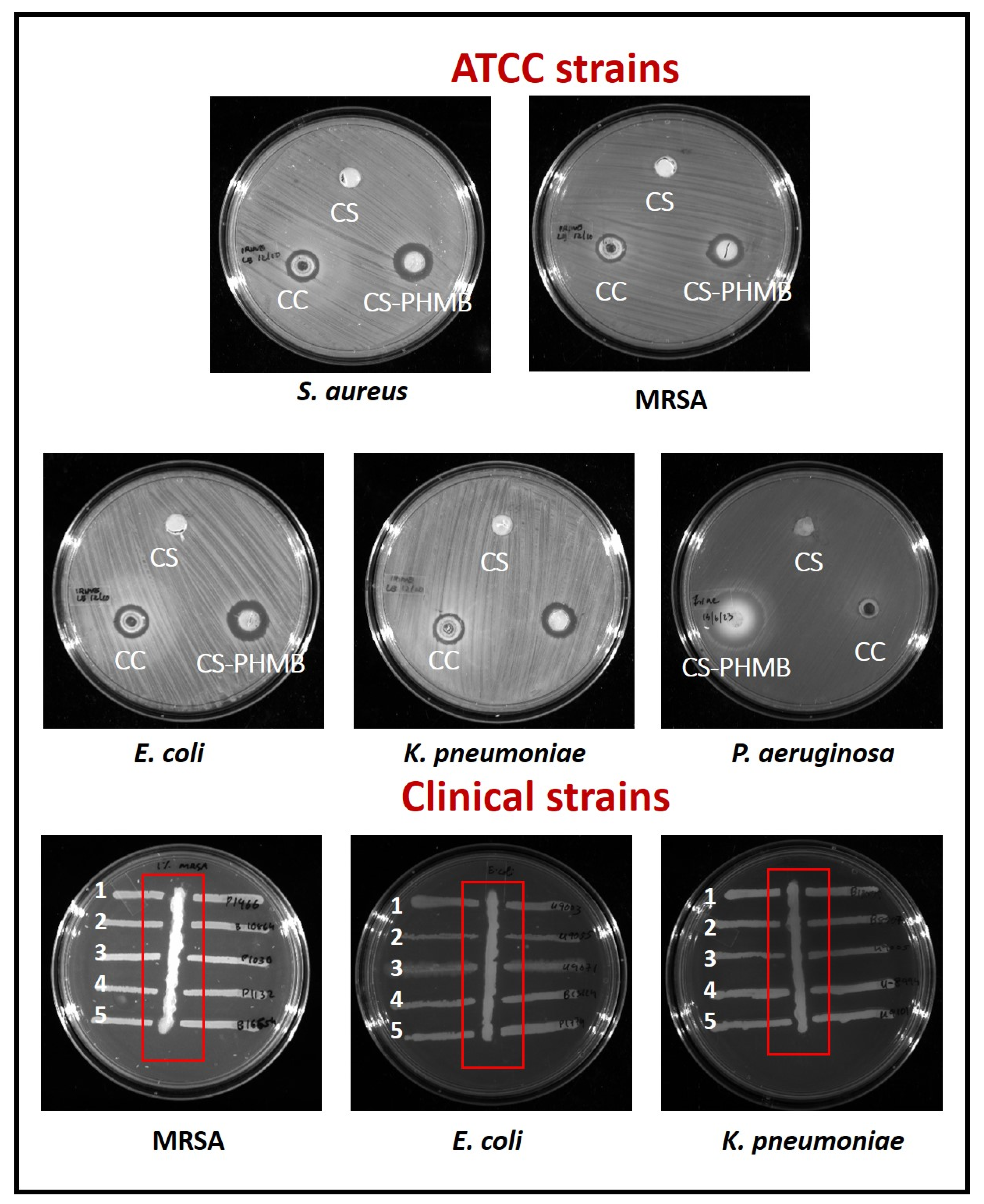Jfb 14 00528 g008 Jfb 14 00528 g008
