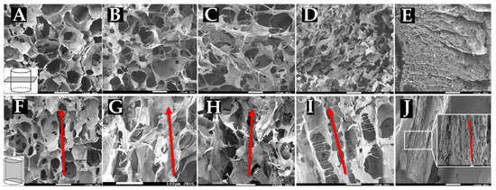 Aligned Collagen Sponges with Tunable Pore Size for Skeletal Muscle ...