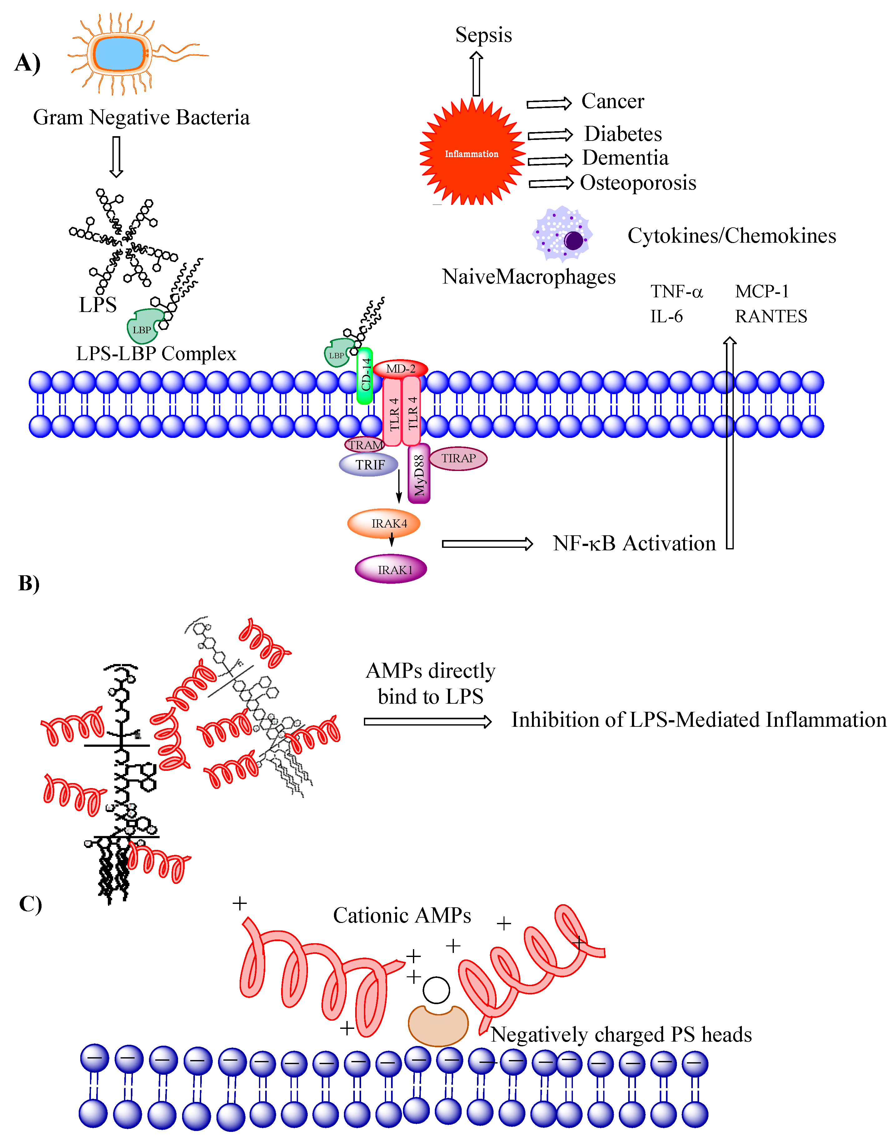 Researchers use skin-colonizing bacteria to create a topical cancer therapy  in mice, News Center