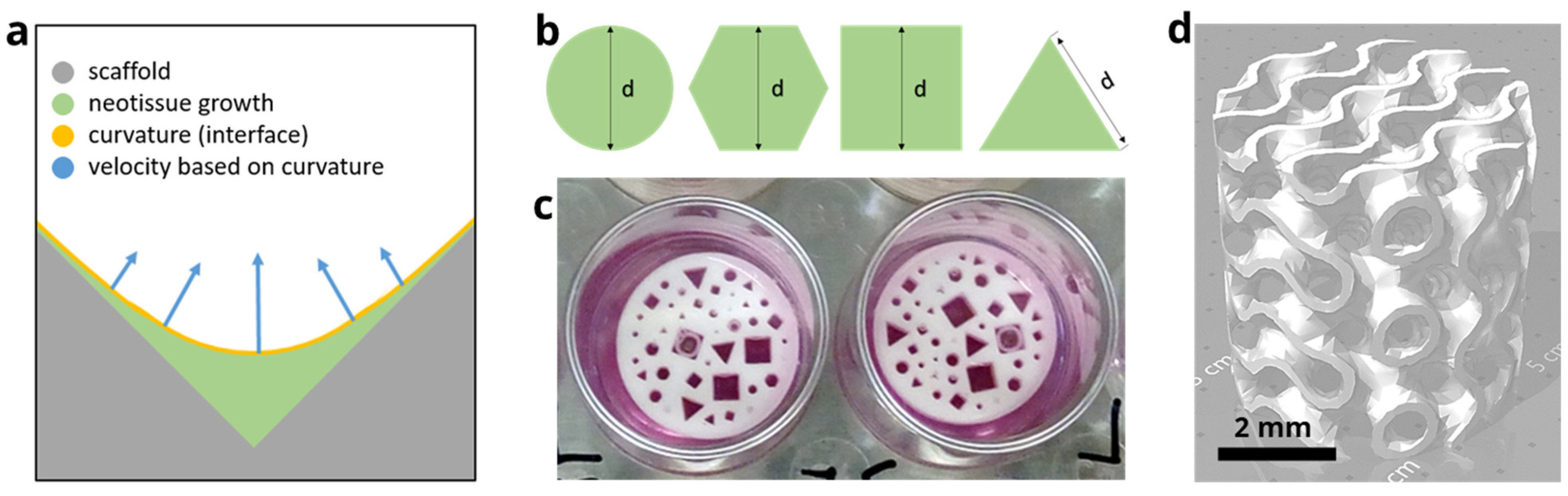 Jfb | free full-text | model-based design to enhance neotissue