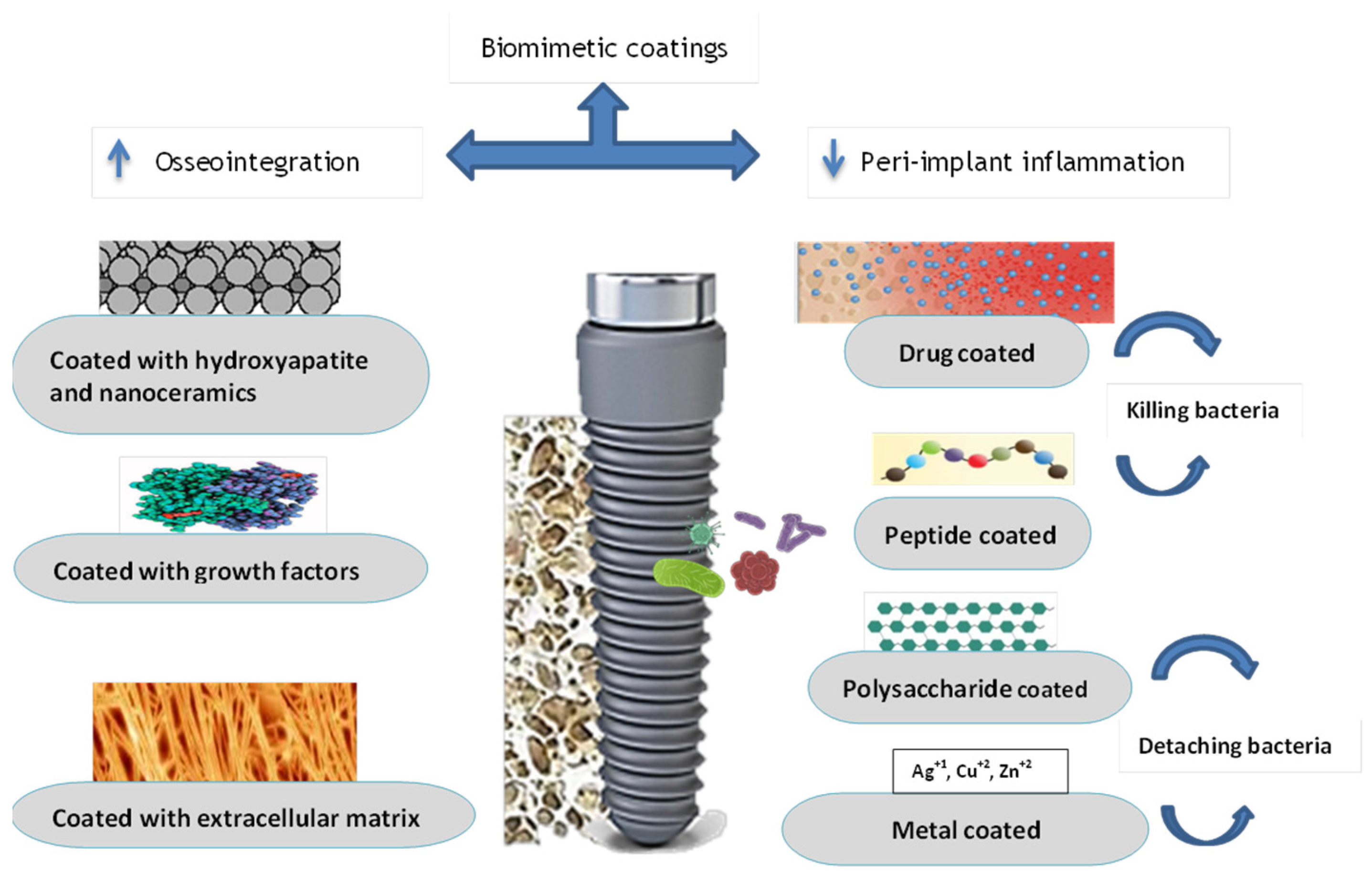 JFB Free FullText Biomimetic Coatings in Implant Dentistry A