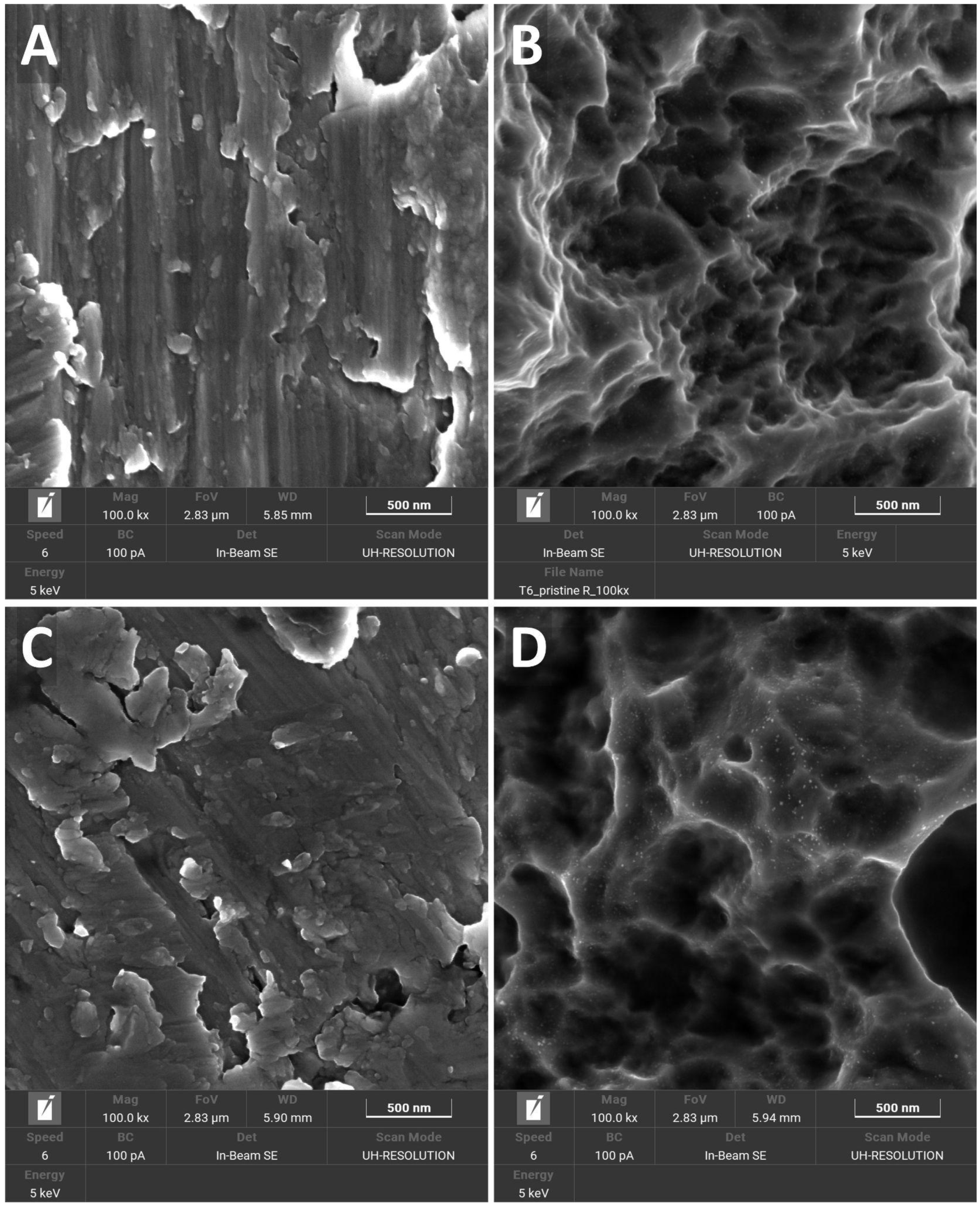 Jfb 15 00021 g002 Jfb 15 00021 g002