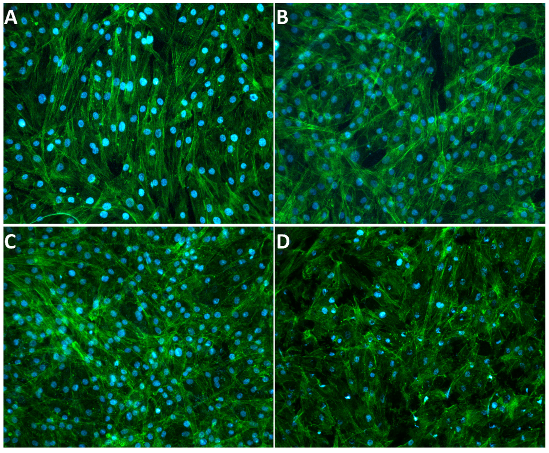 Jfb 15 00021 g006 Jfb 15 00021 g006