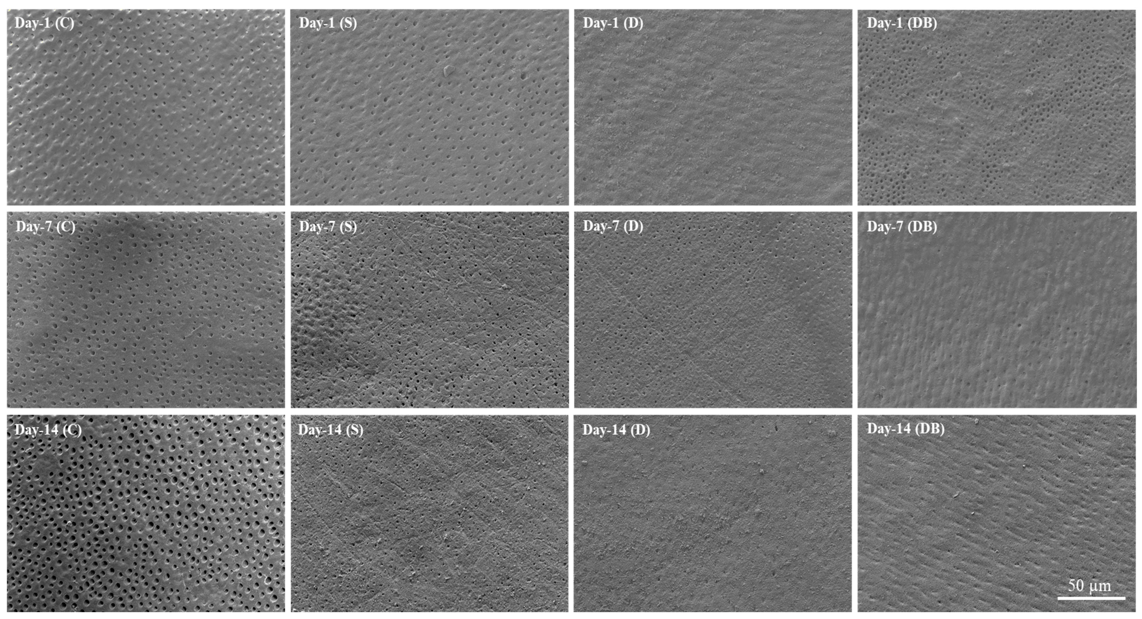 Jfb 15 00025 g002 Jfb 15 00025 g002