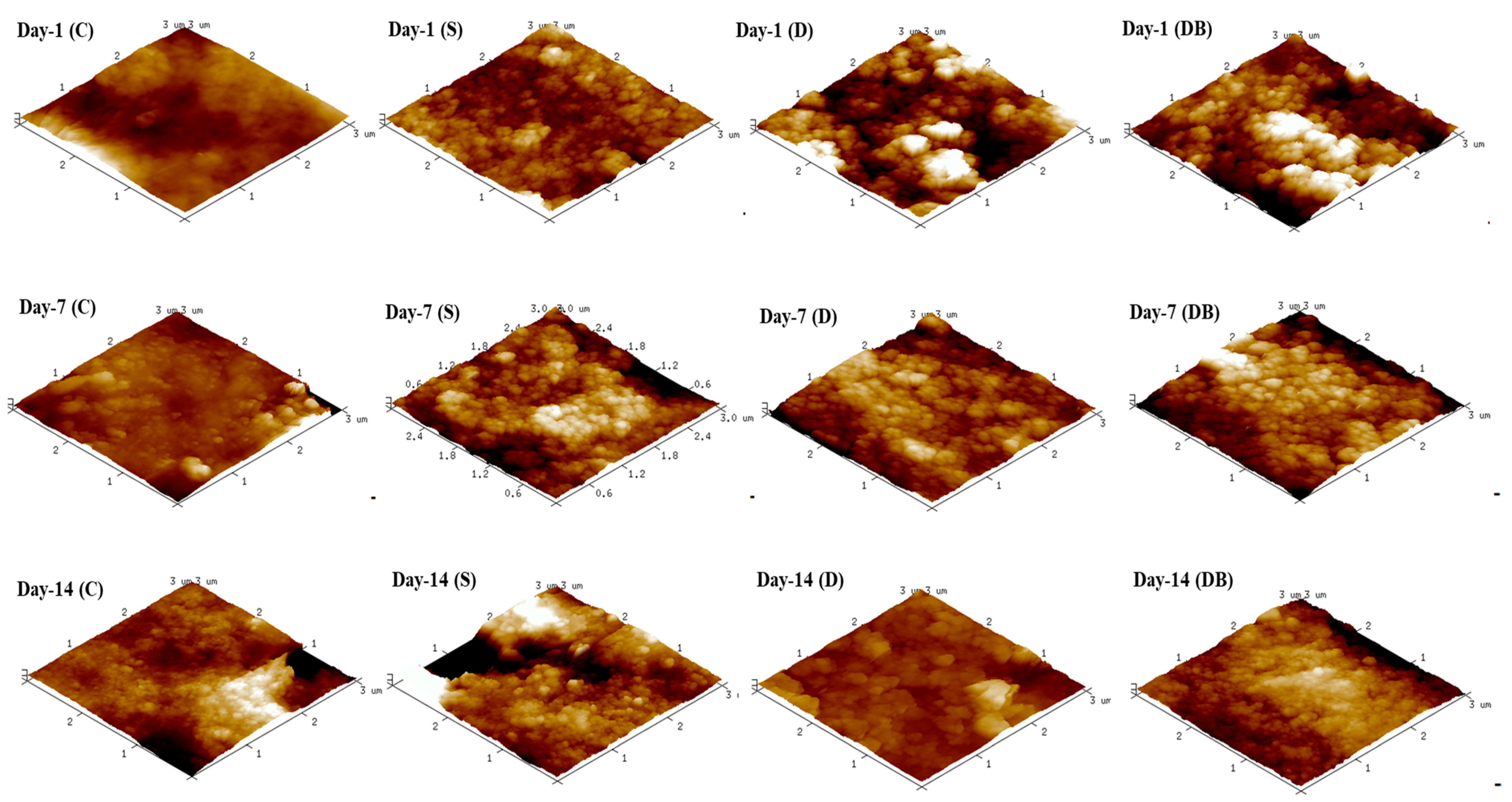 Jfb 15 00025 g003 Jfb 15 00025 g003