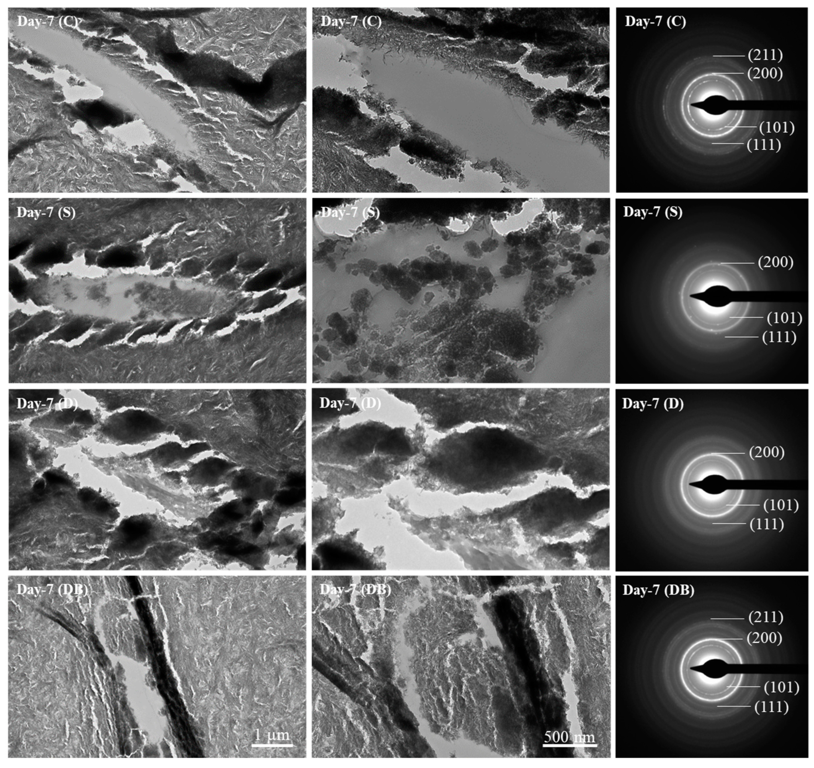 Jfb 15 00025 g004 Jfb 15 00025 g004