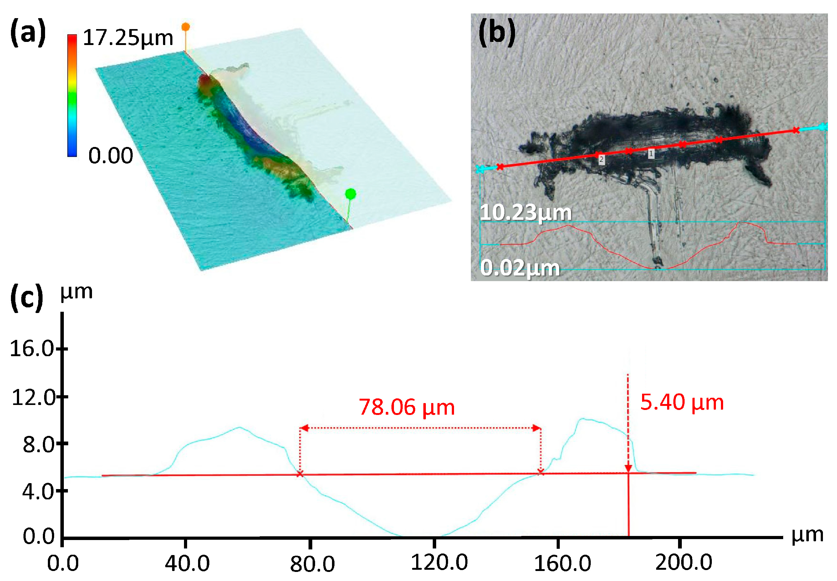 Jfb 15 00038 g002 Jfb 15 00038 g002