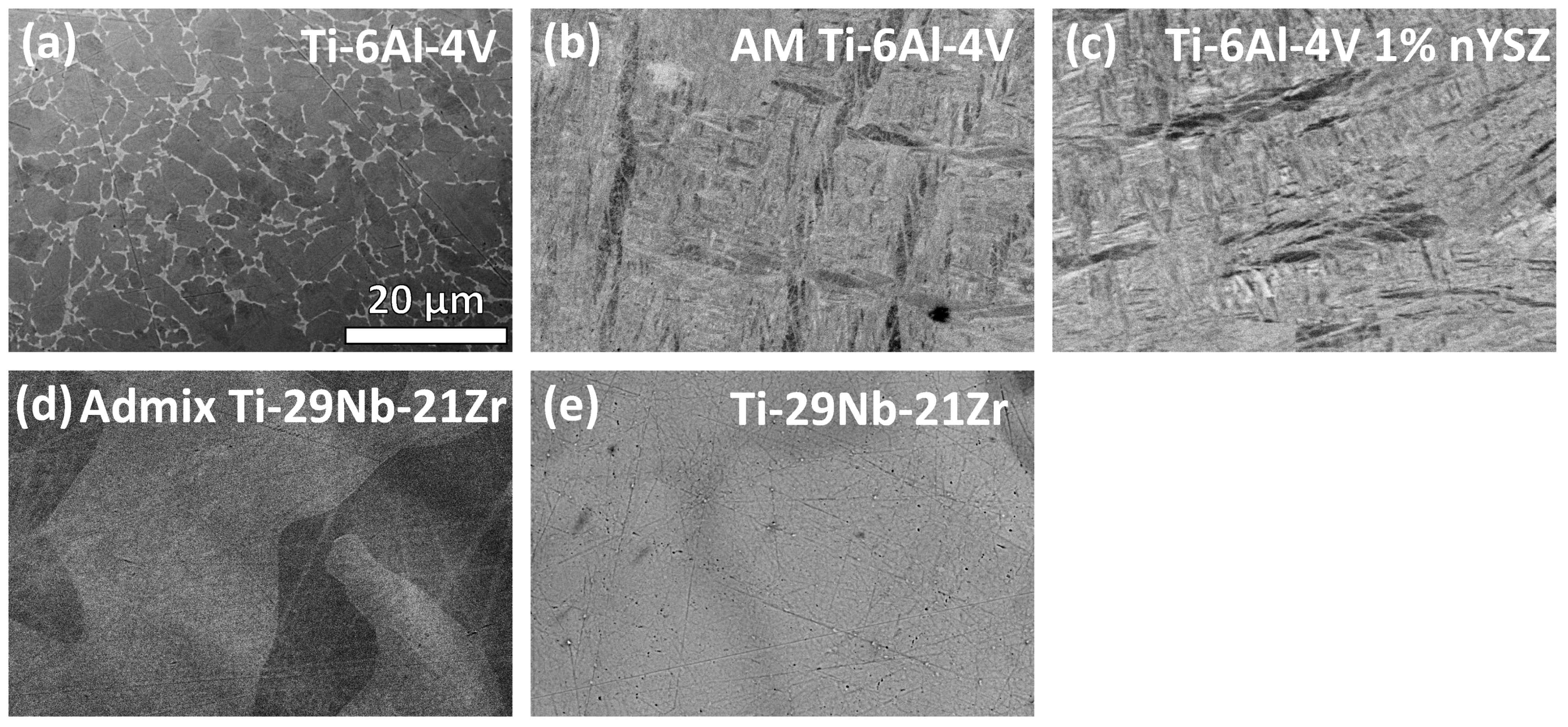 Jfb 15 00038 g004 Jfb 15 00038 g004