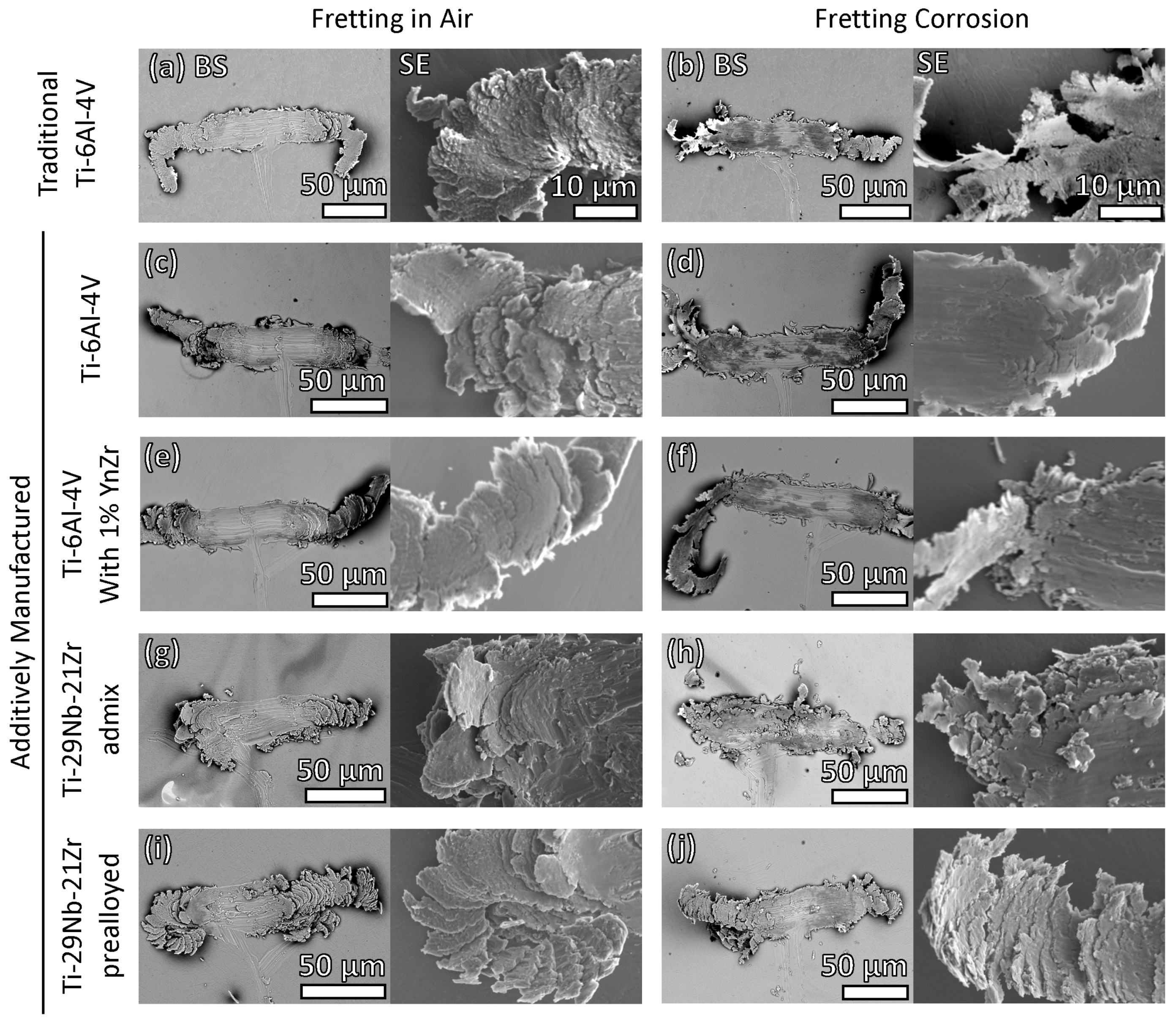 Jfb 15 00038 g005 Jfb 15 00038 g005