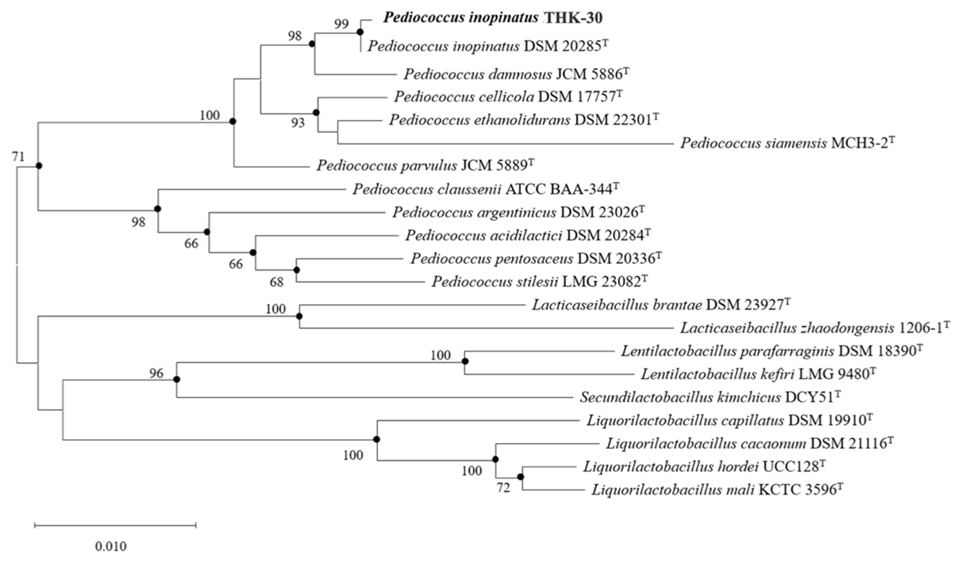 Jfb 15 00064 g003 Jfb 15 00064 g003
